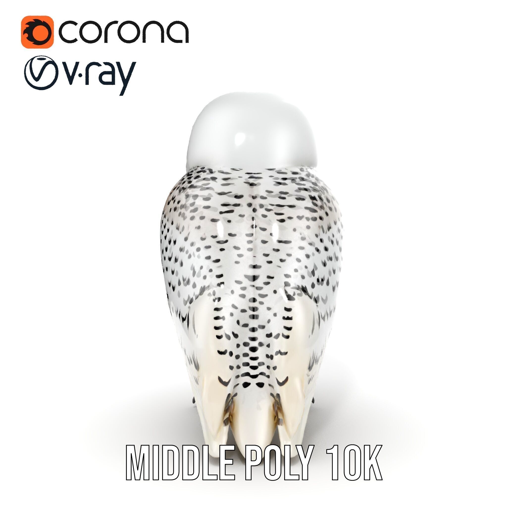 Snowy Owl D Model Pack Low-poly 3D model_29