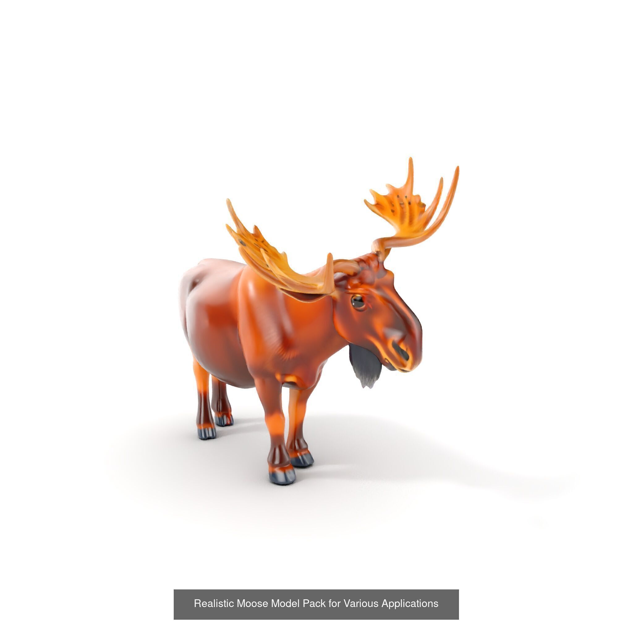 forest animals collection _28