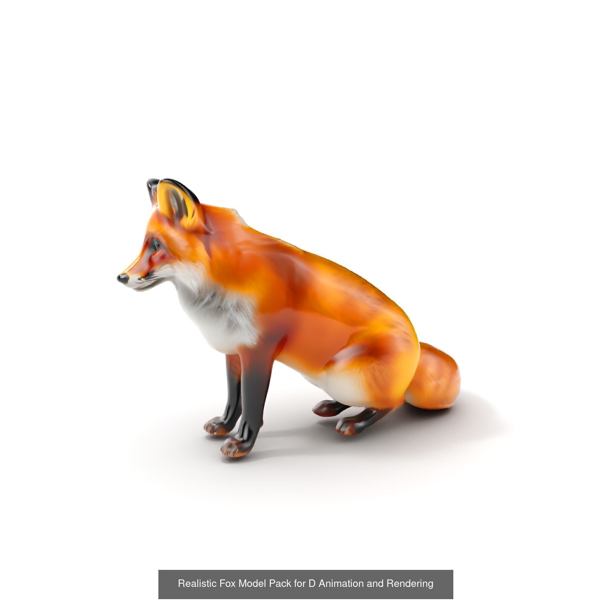 forest animals collection _21