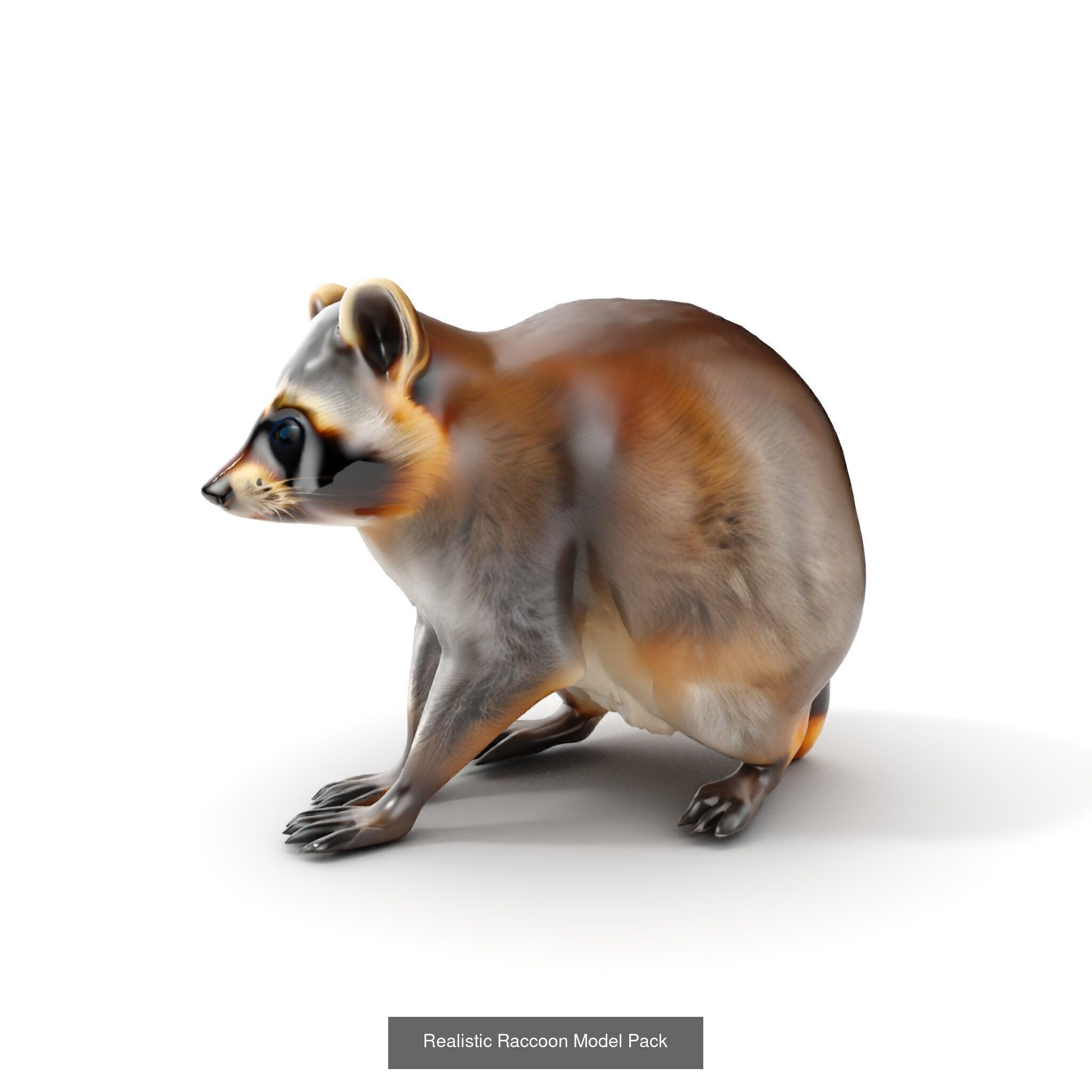 forest animals collection _29