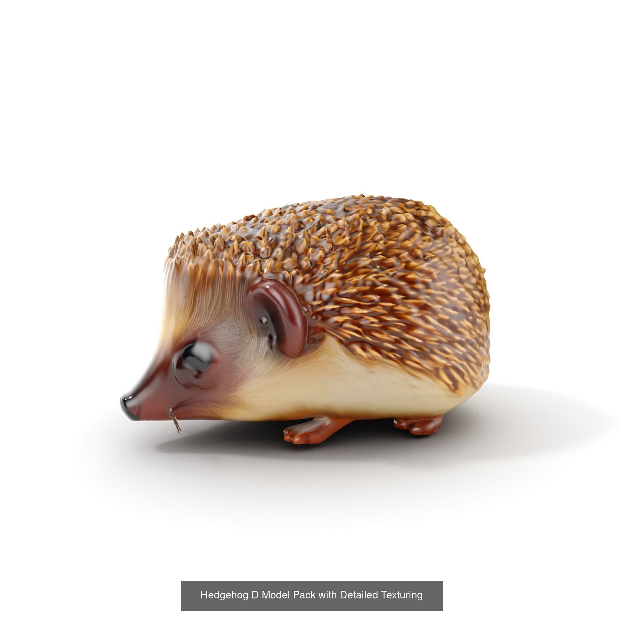 forest animals collection _31