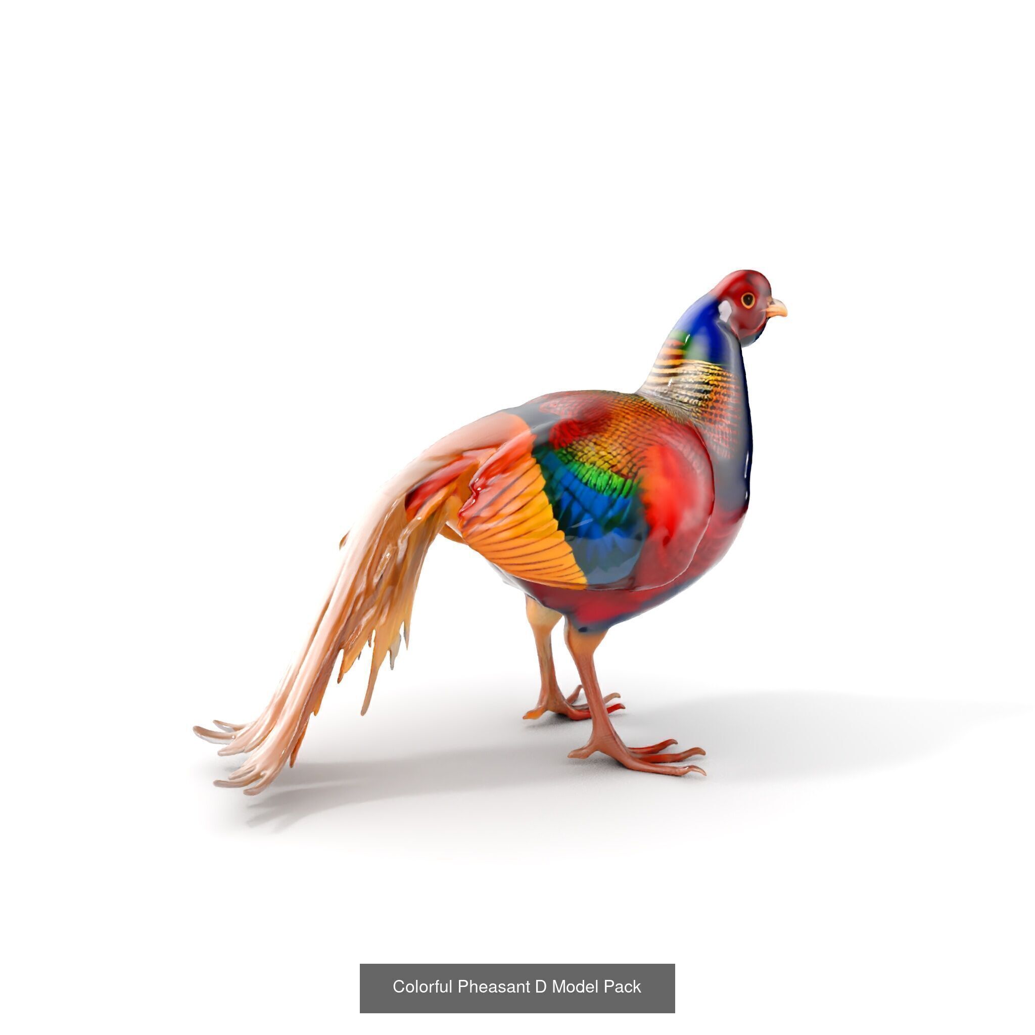 forest animals collection _25