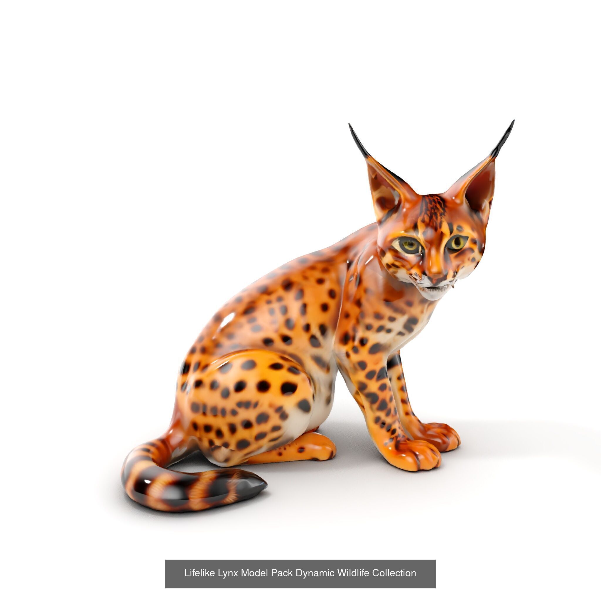 forest animals collection _32