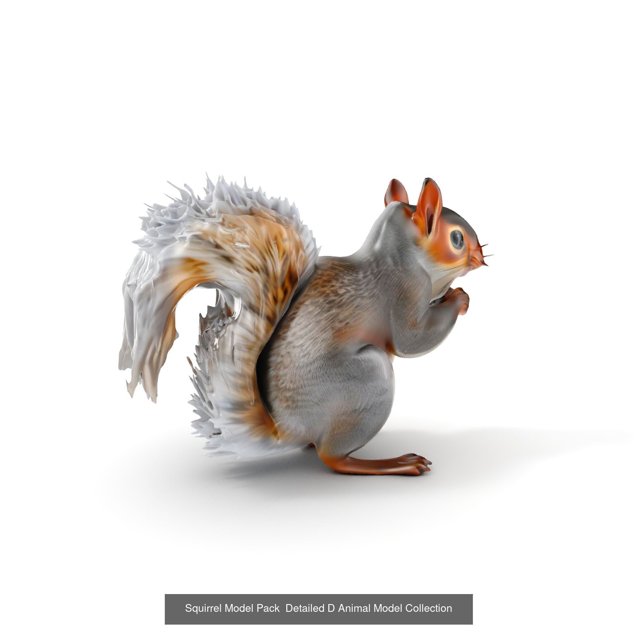 forest animals collection _26