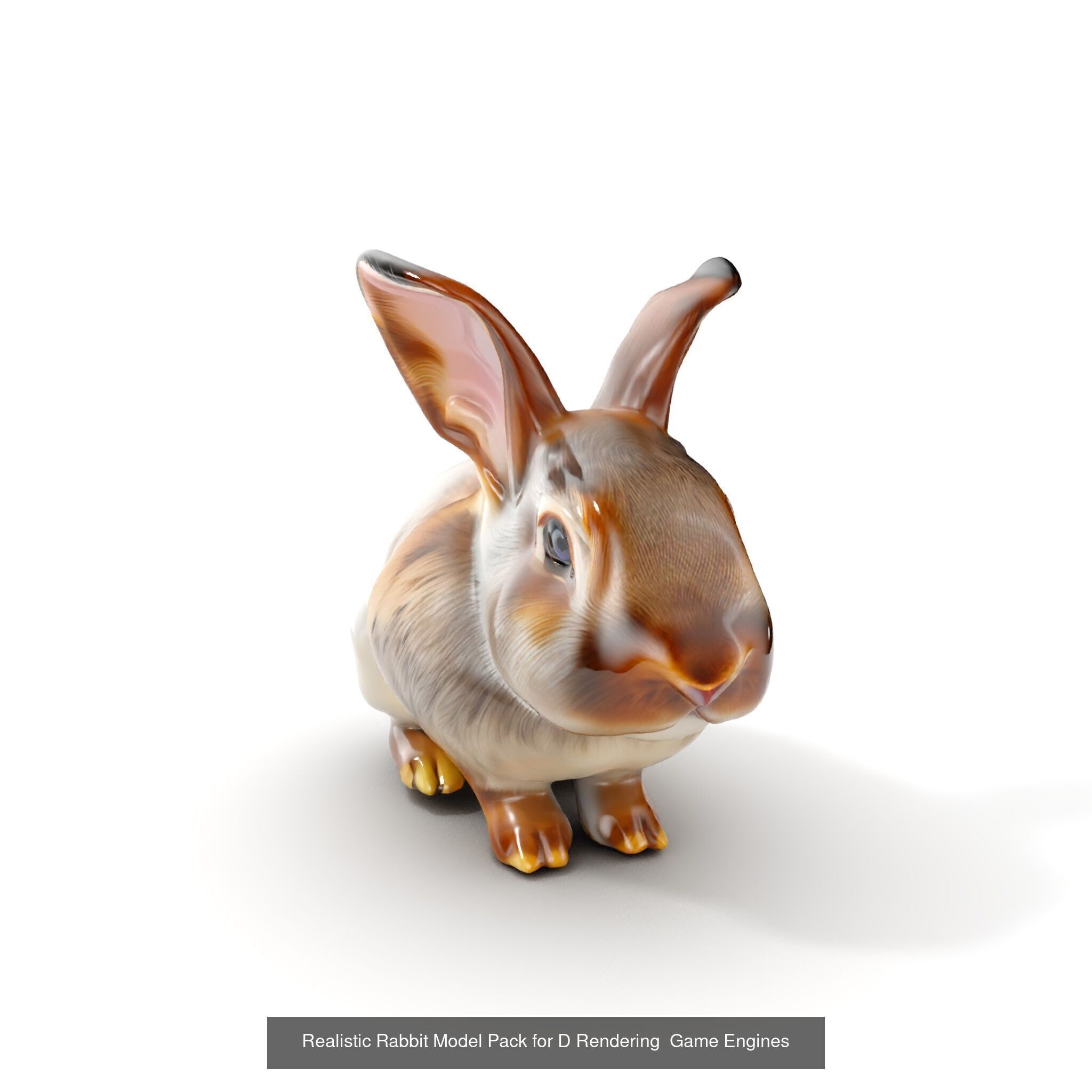 forest animals collection _20