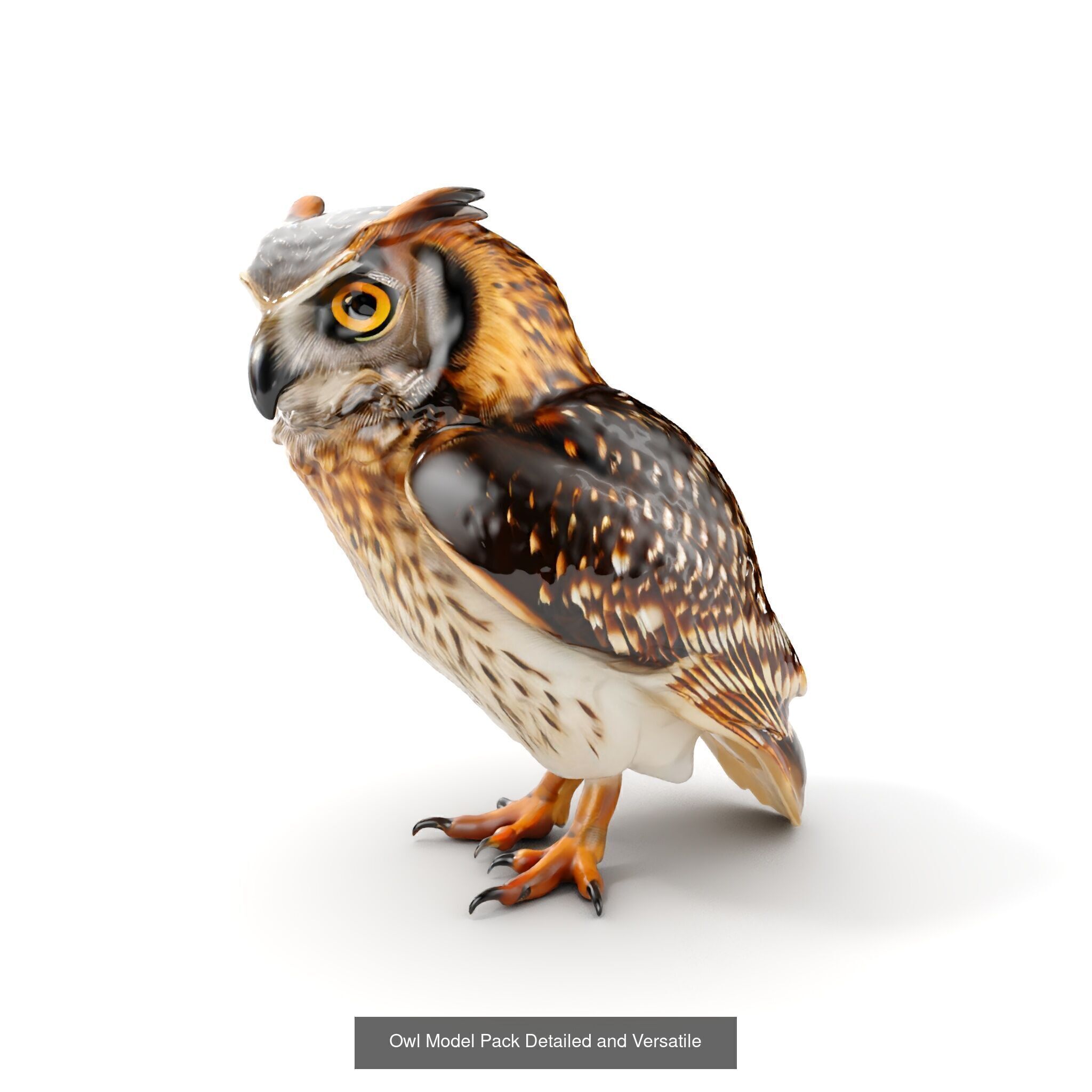 forest animals collection _27