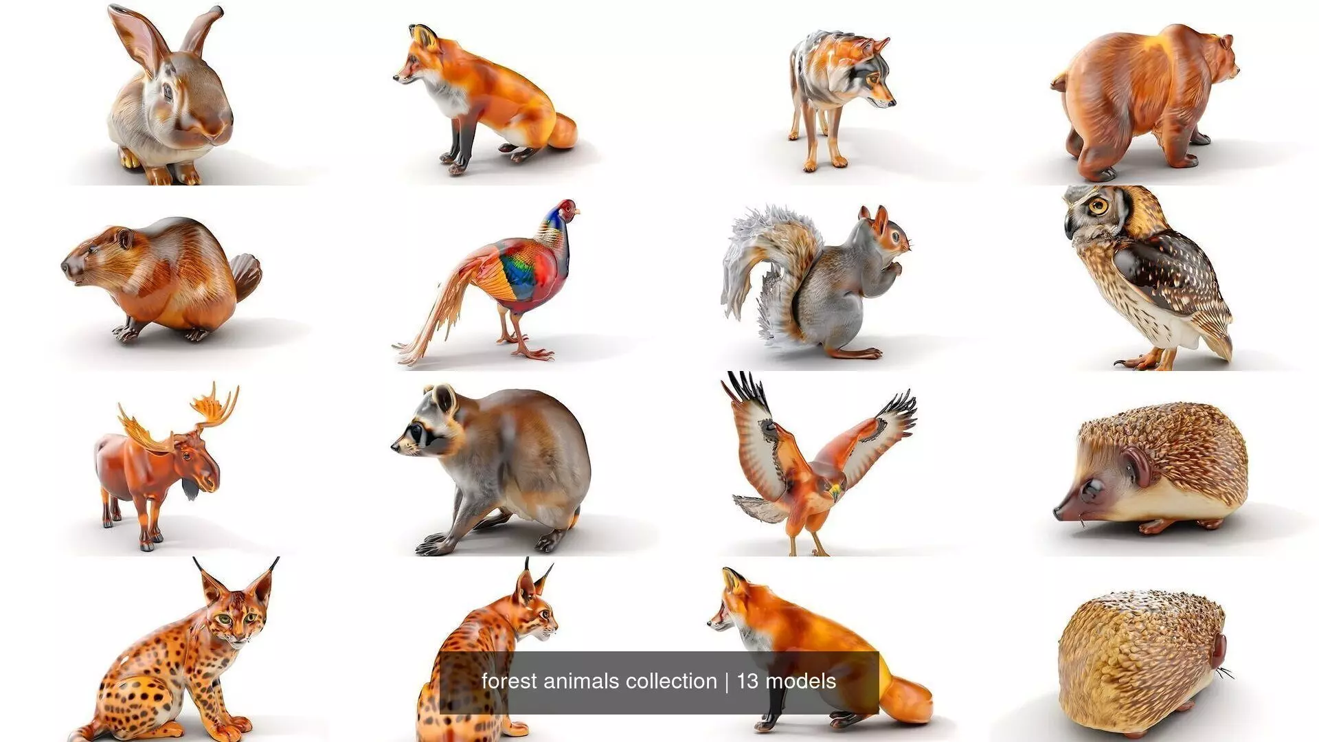 forest animals collection _0