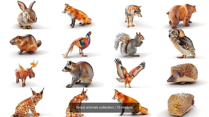 forest animals collection 