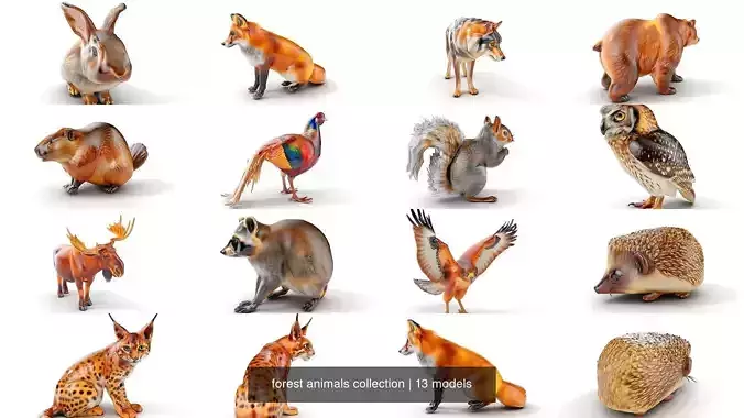 forest animals collection 