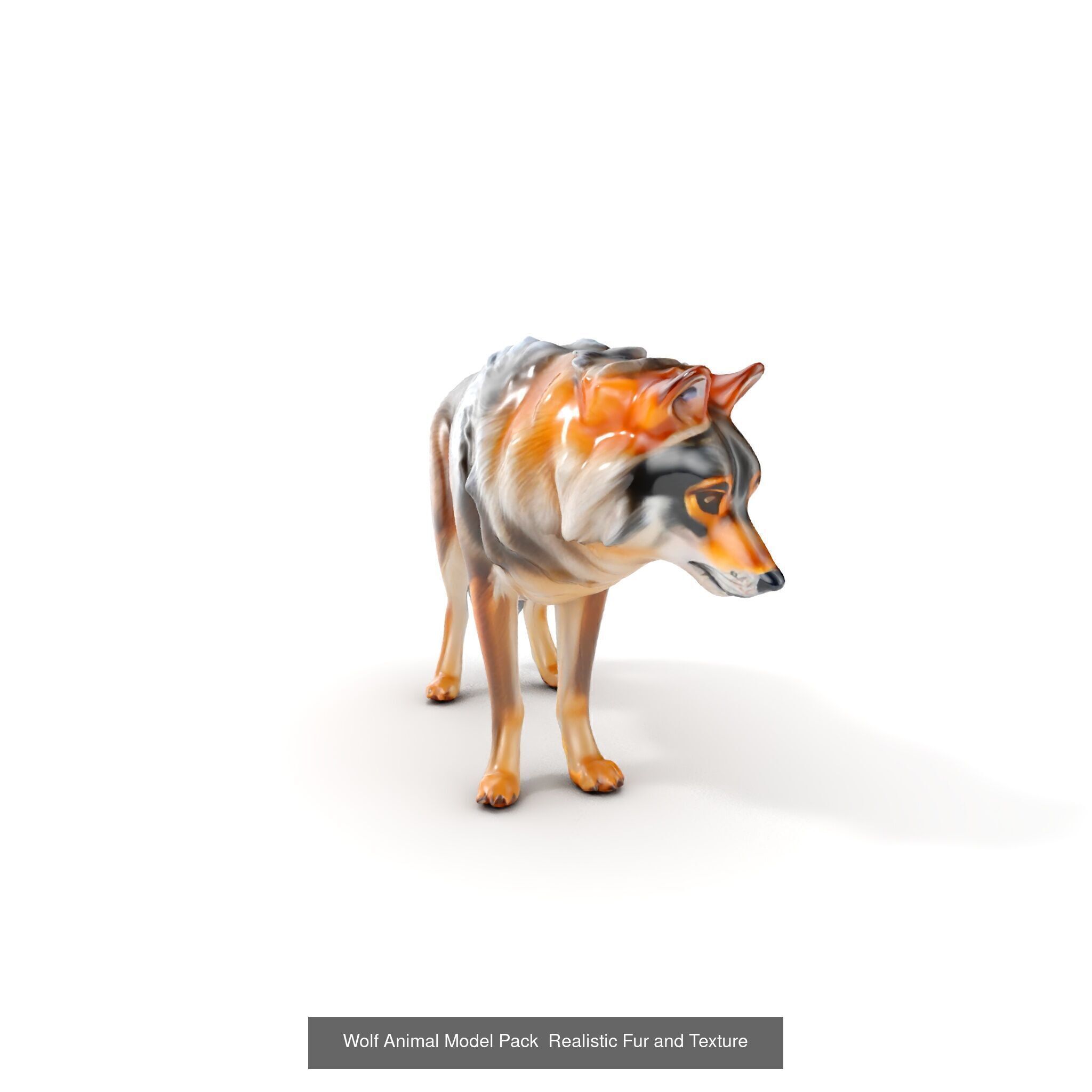 forest animals collection _22