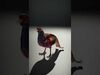 forest animals collection _8
