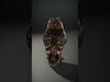 forest animals collection _11