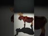 forest animals collection _13