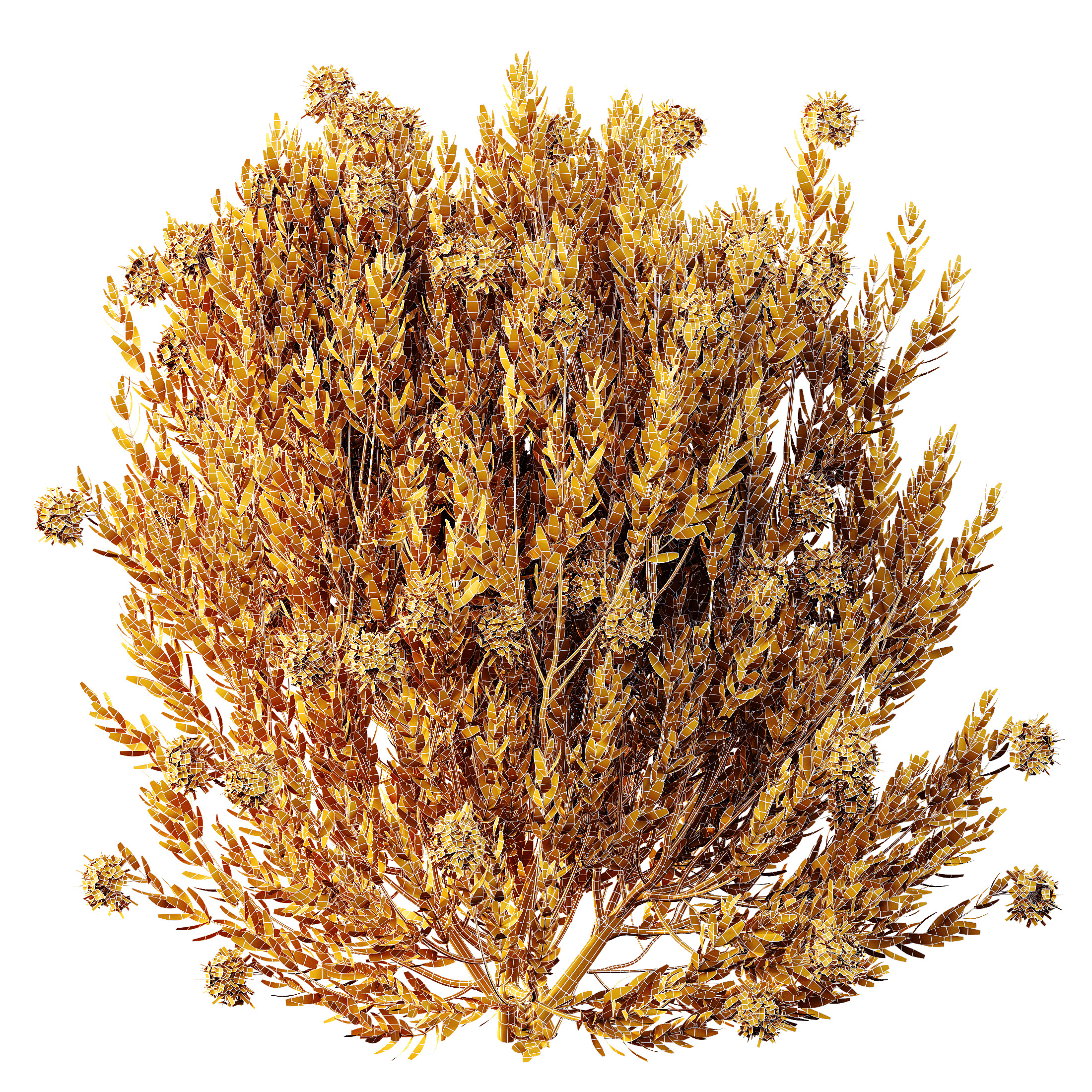 AV Colorful spring bushes Rhododendron and Ixora Jasmine 3D model_7