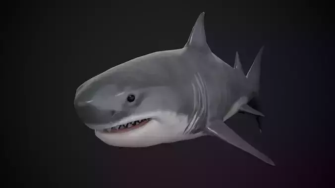 Shark