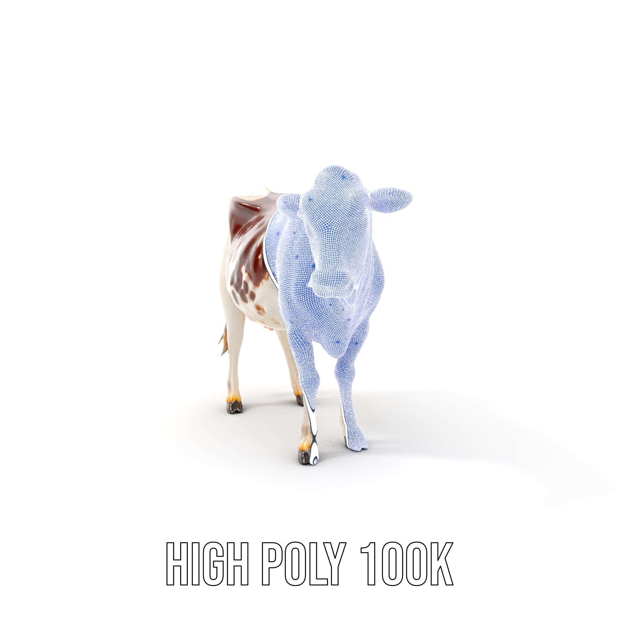Dairy Cow D Model Pack with HighQuality Textures Low-poly 3D model_5