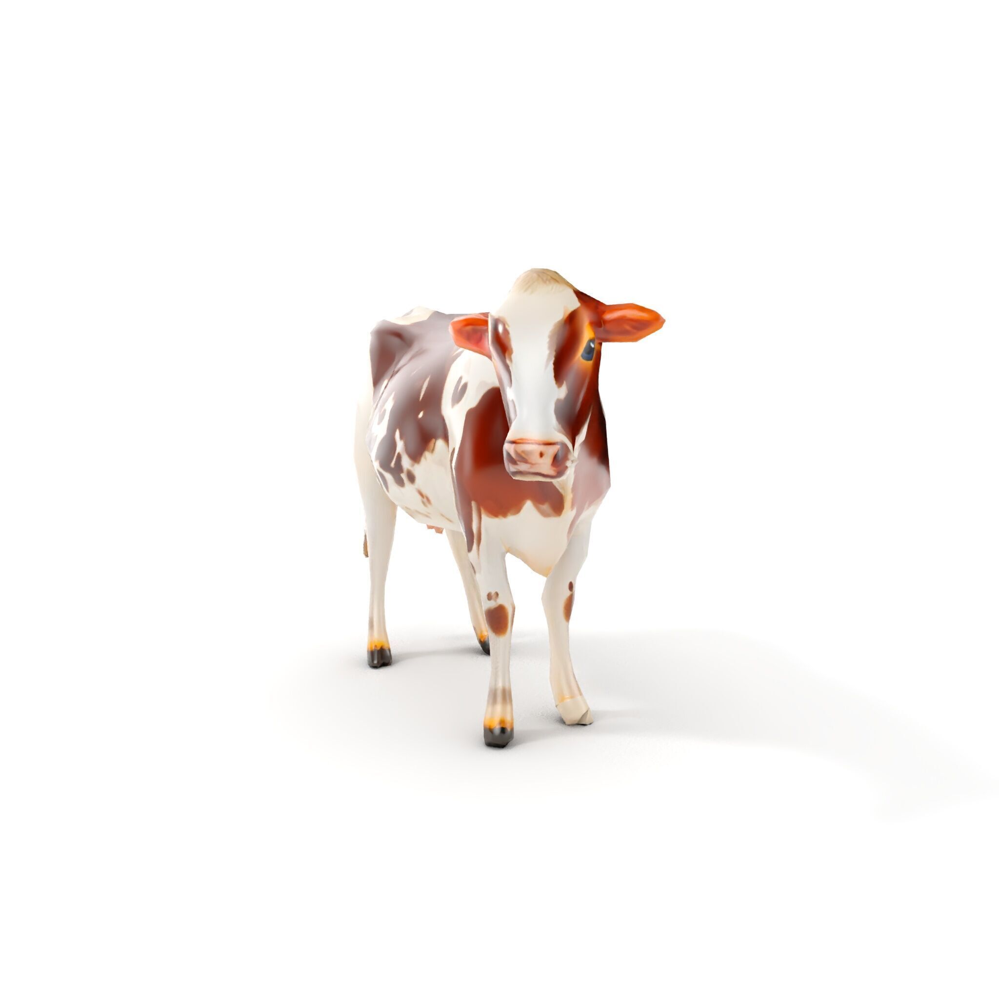 Dairy Cow D Model Pack with HighQuality Textures Low-poly 3D model_8