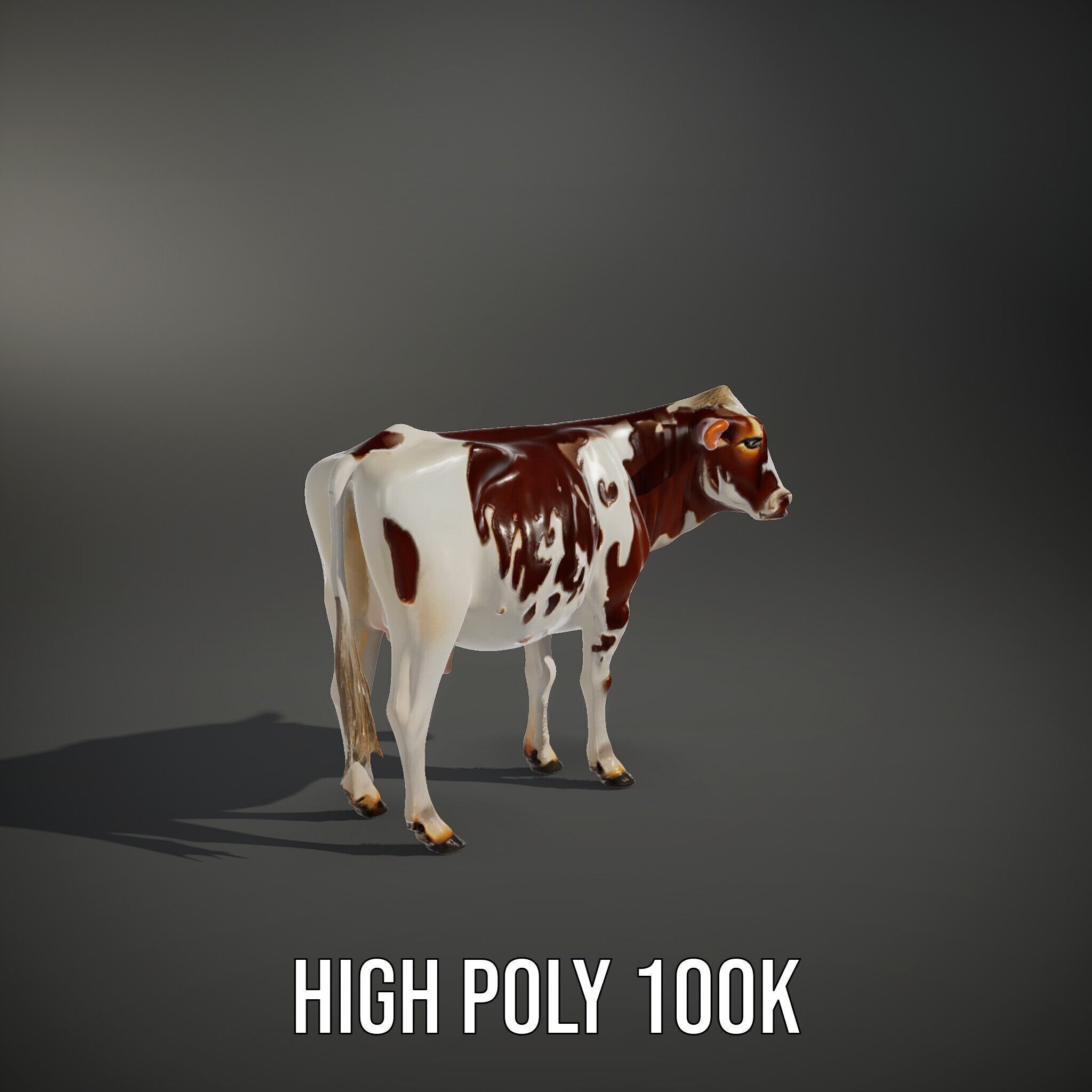Dairy Cow D Model Pack with HighQuality Textures Low-poly 3D model_12
