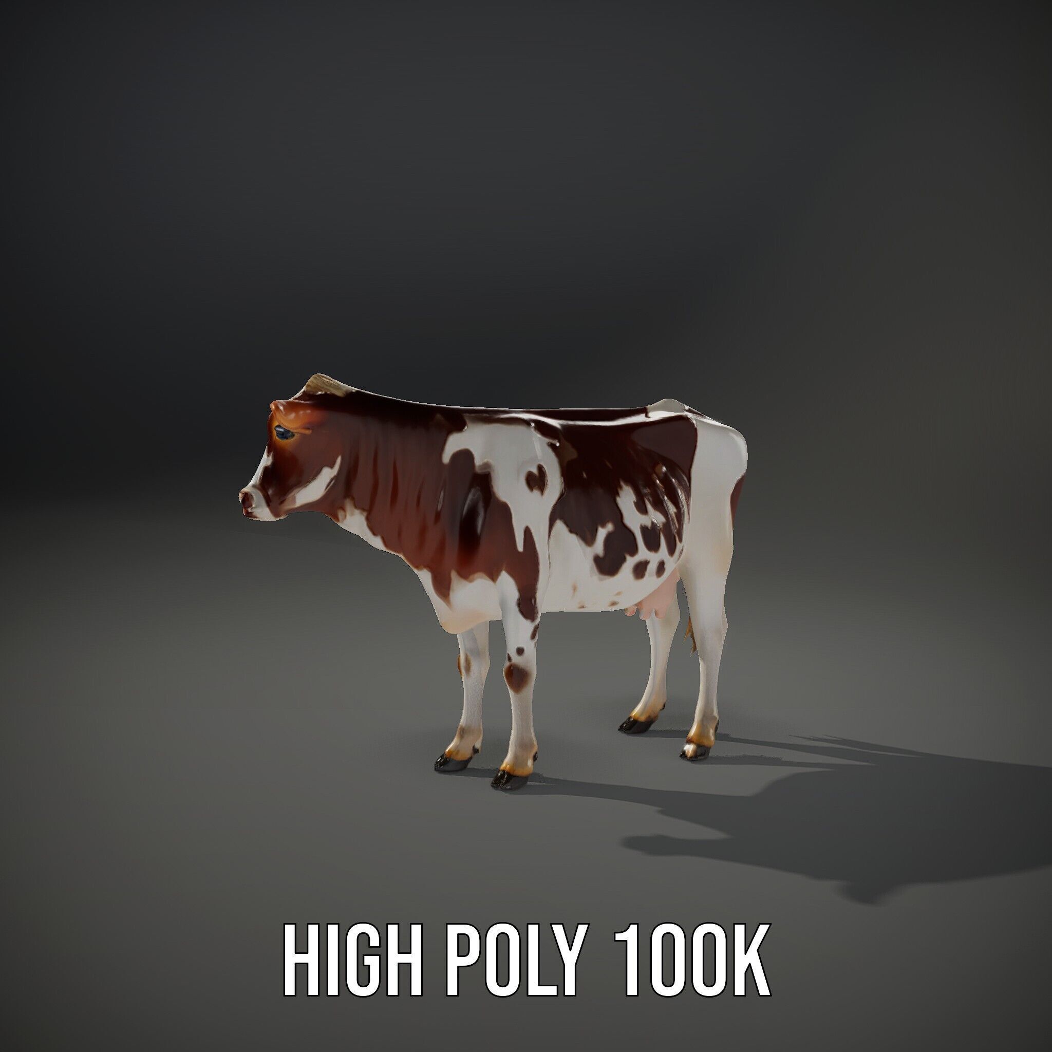 Dairy Cow D Model Pack with HighQuality Textures Low-poly 3D model_15