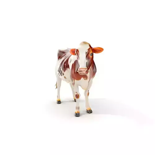 Dairy Cow D Model Pack with HighQuality Textures Low-poly 3D model