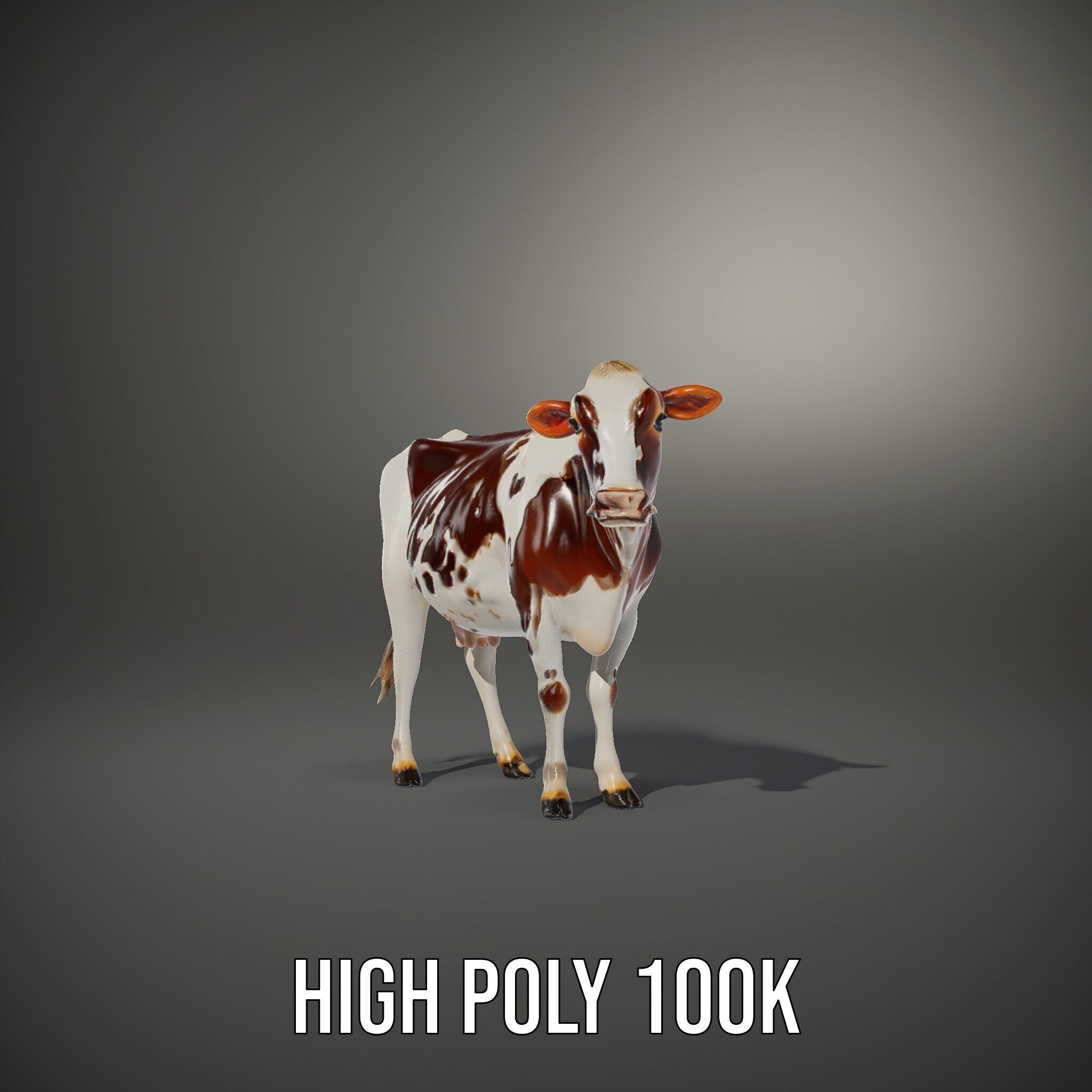 Dairy Cow D Model Pack with HighQuality Textures Low-poly 3D model_9