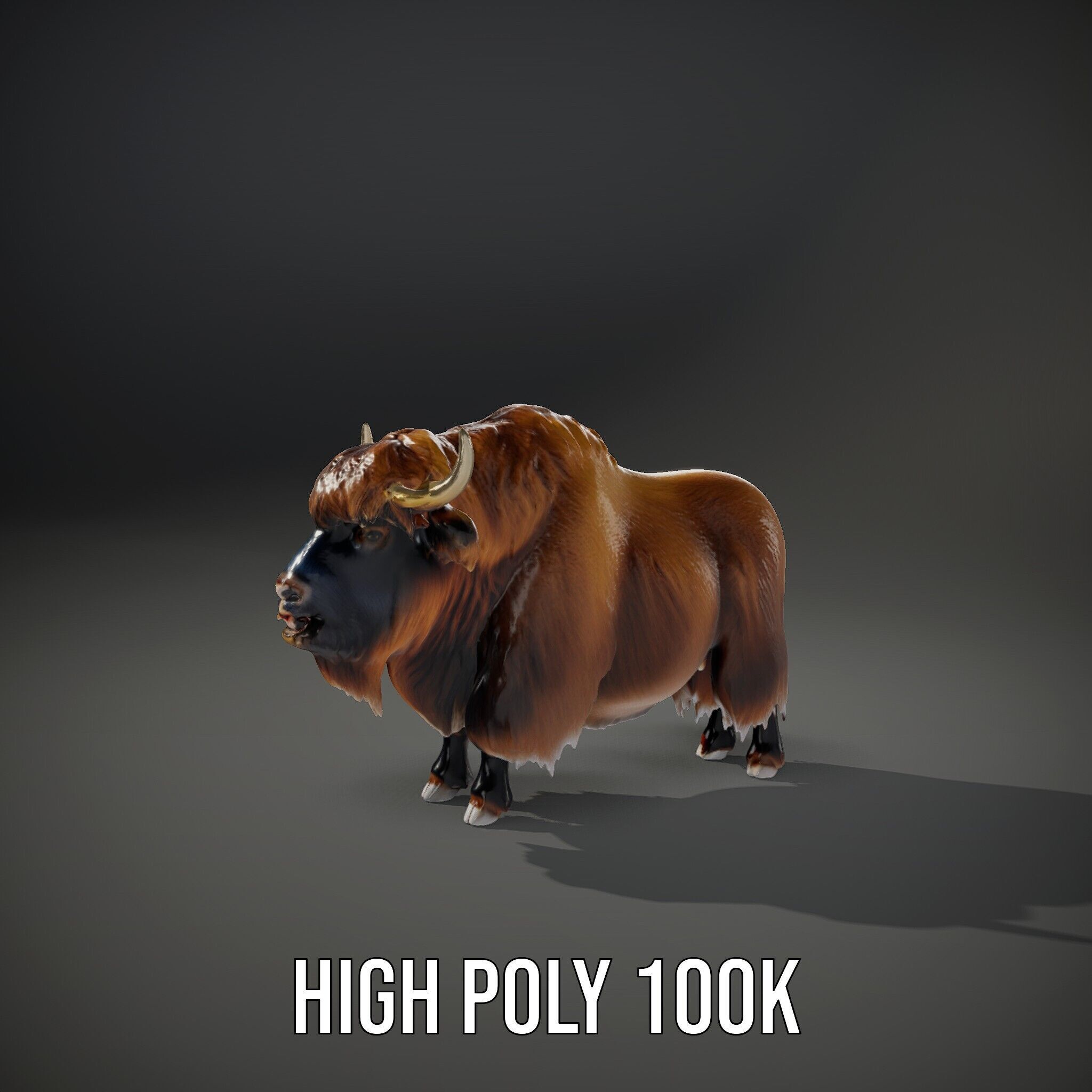 Yak Animal Model Pack with Detailed Fur Low-poly 3D model_12