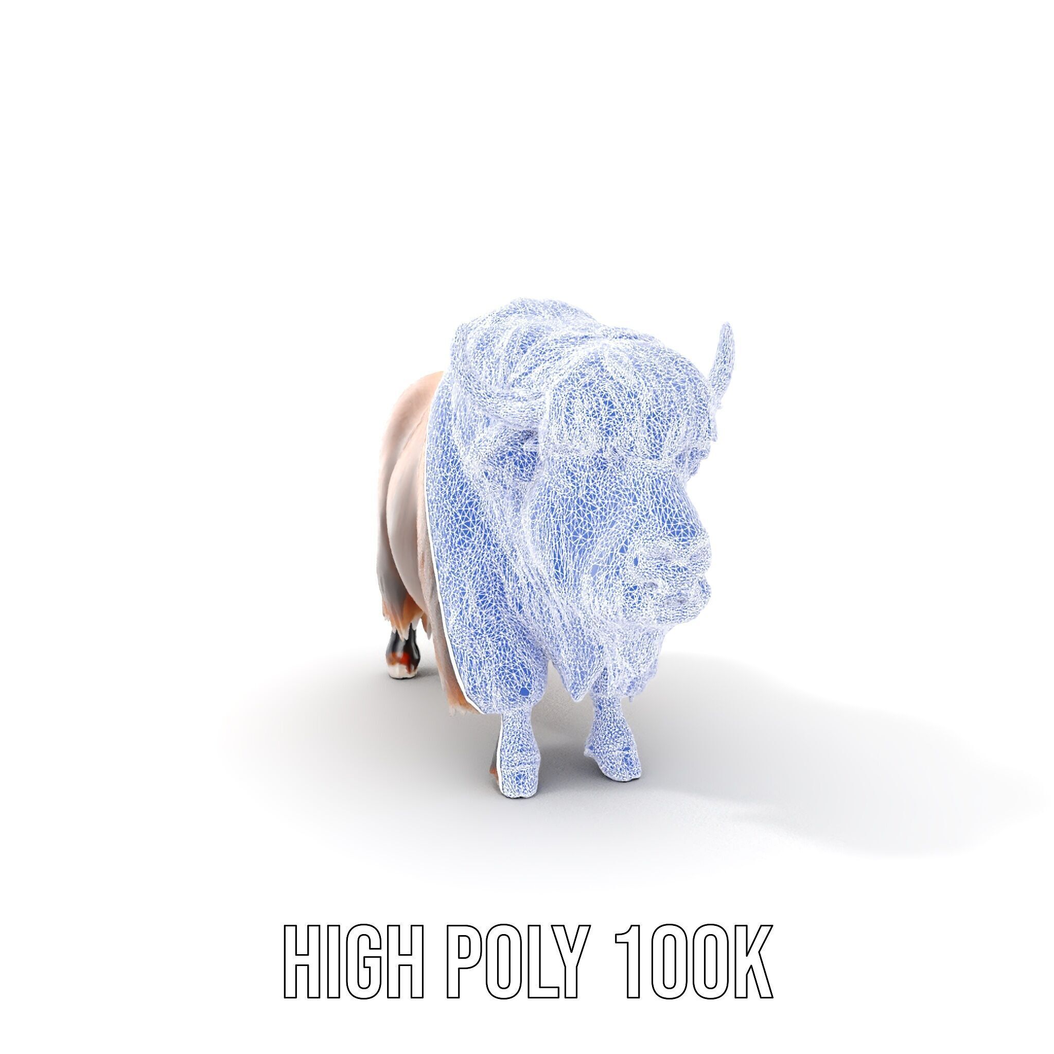 Yak Animal Model Pack with Detailed Fur Low-poly 3D model_5