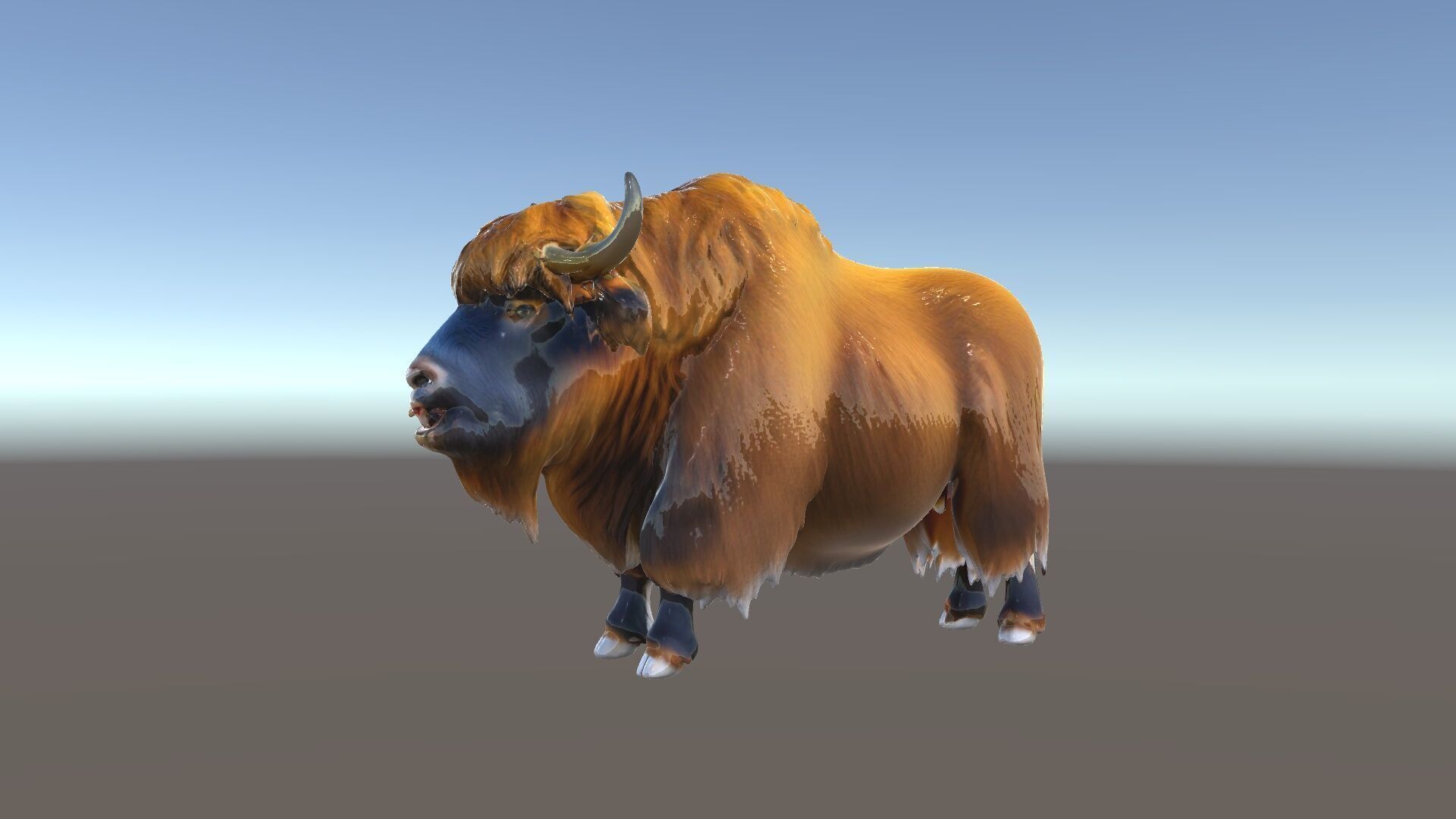 Yak Animal Model Pack with Detailed Fur Low-poly 3D model_35