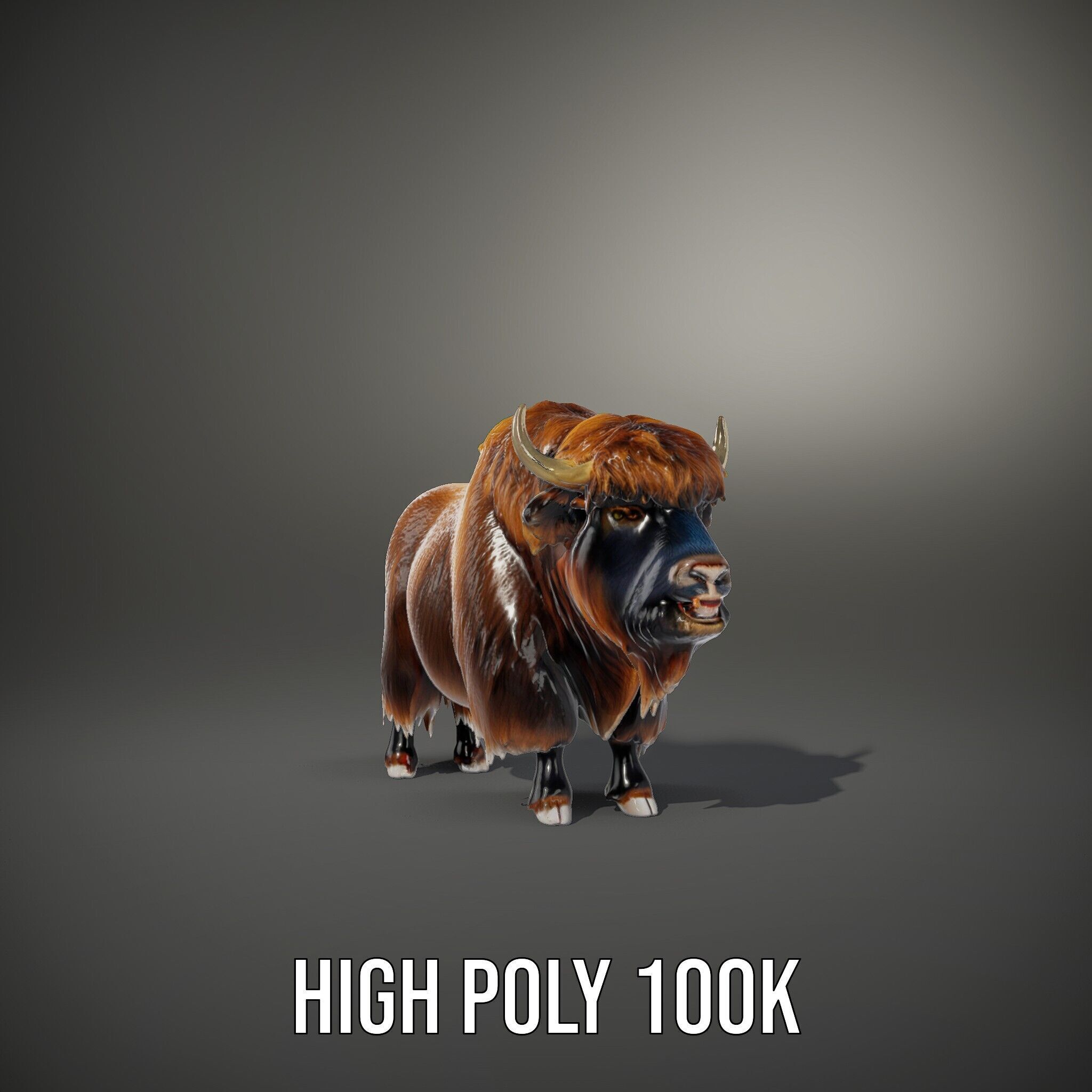 Yak Animal Model Pack with Detailed Fur Low-poly 3D model_15