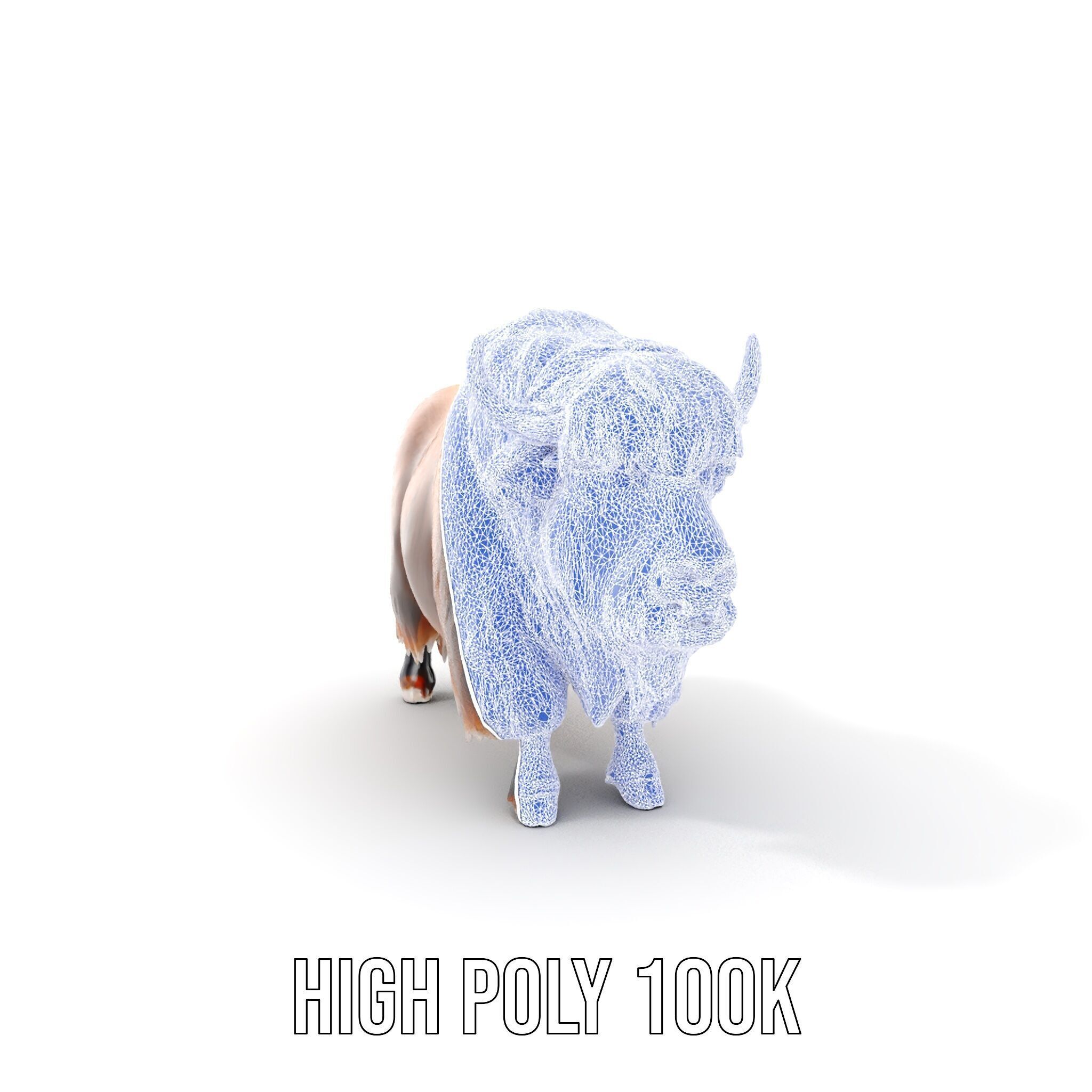 Yak Animal Model Pack with Detailed Fur Low-poly 3D model_19