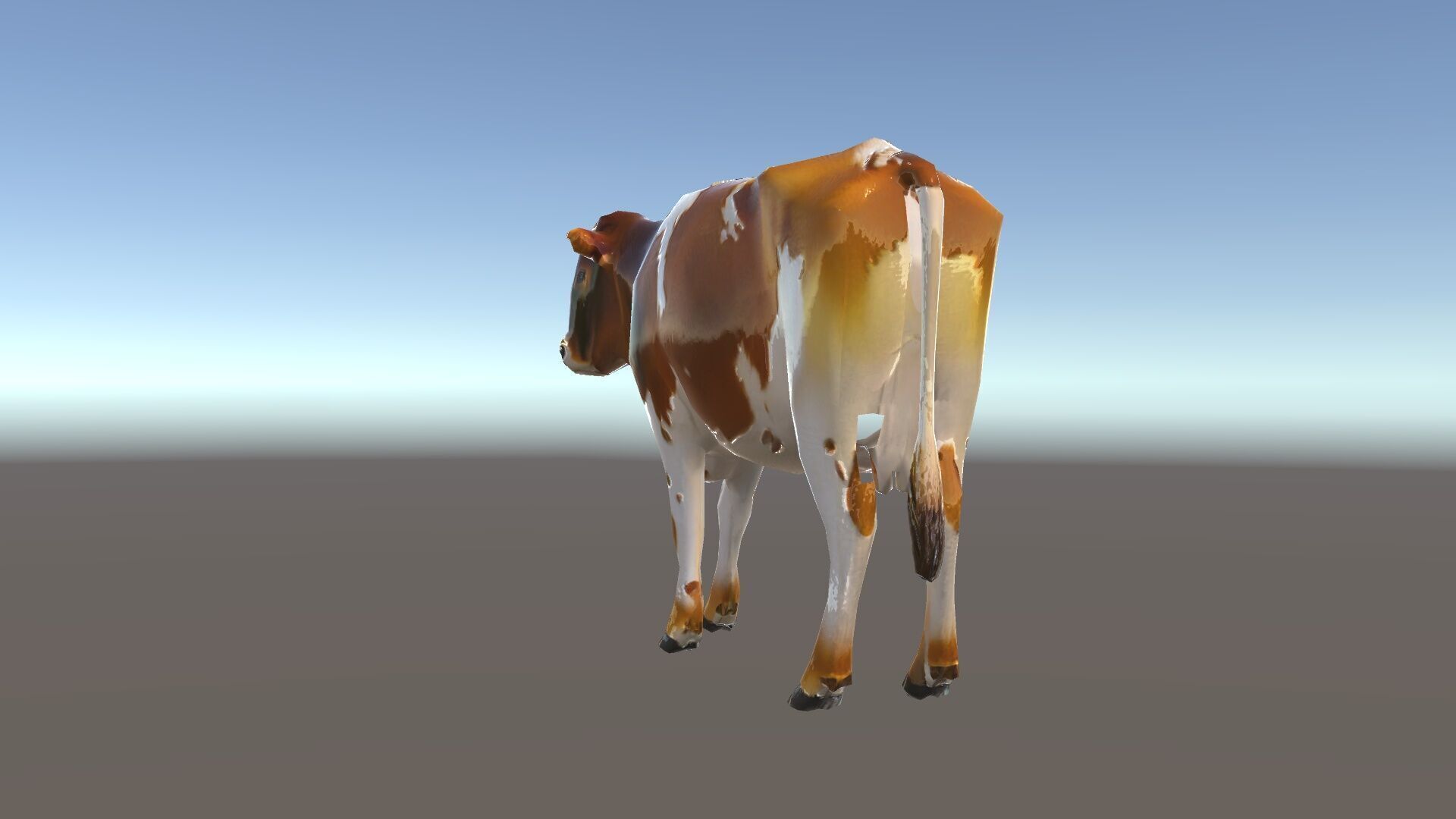 Realistic Cow Model Pack Low-poly 3D model_36