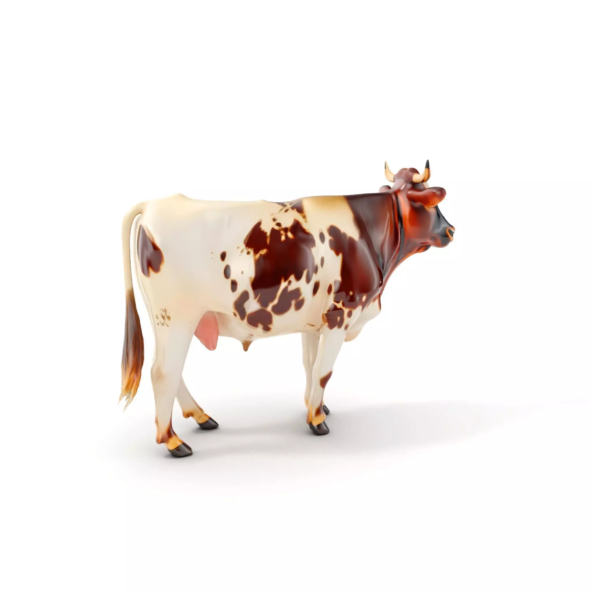 Spotted Dairy Cow D Model Pack Low-poly 3D model_0