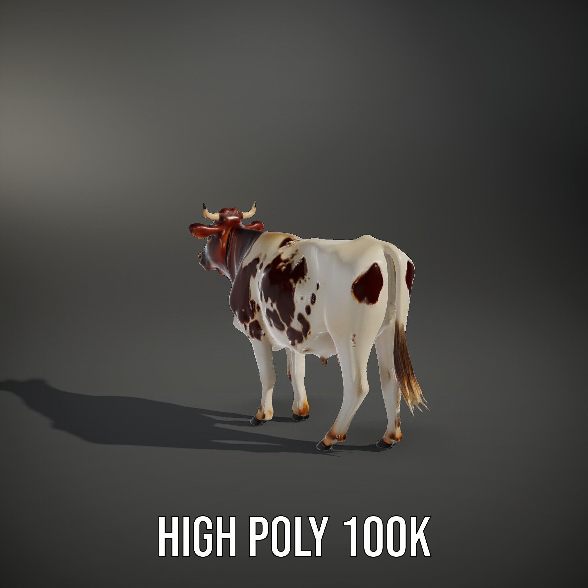 Spotted Dairy Cow D Model Pack Low-poly 3D model_12