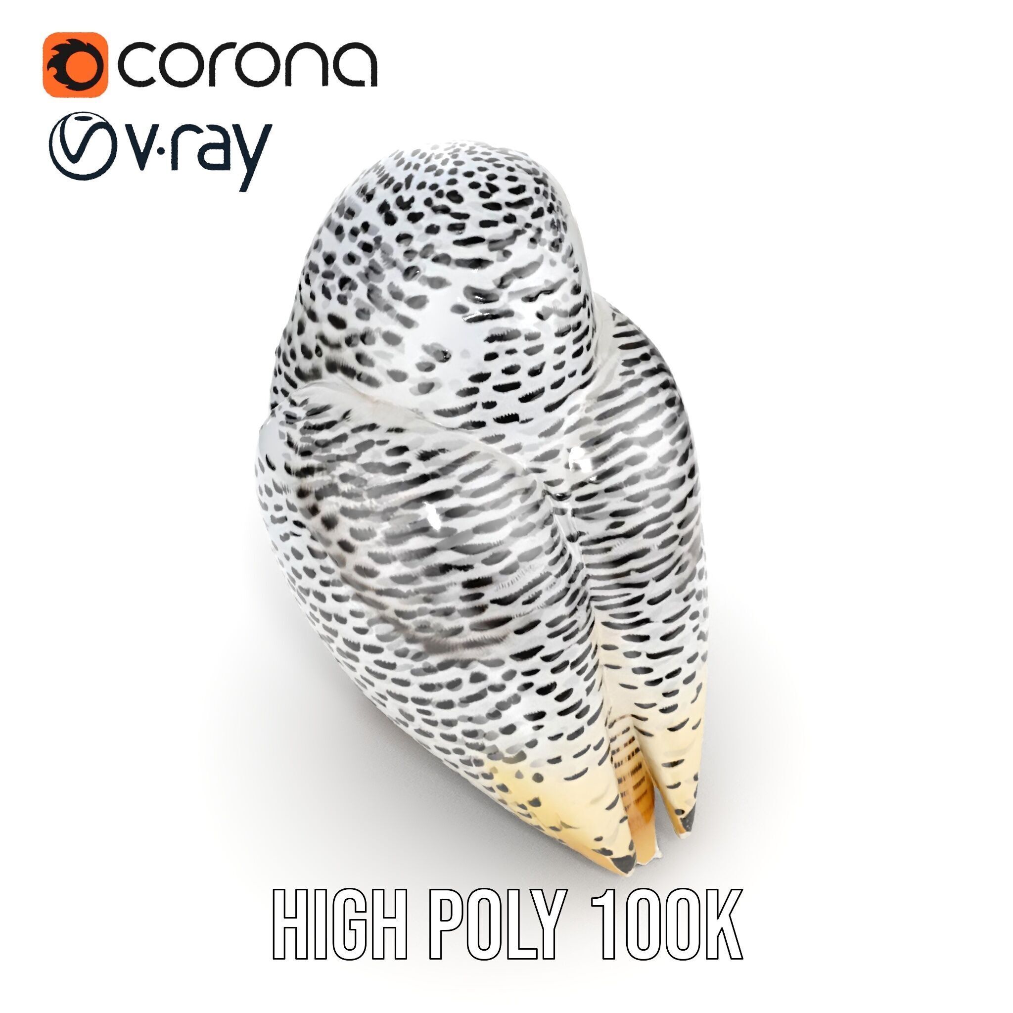 Snowy Owl Model Pack with Detailed Textures and LOD Low-poly 3D model_27