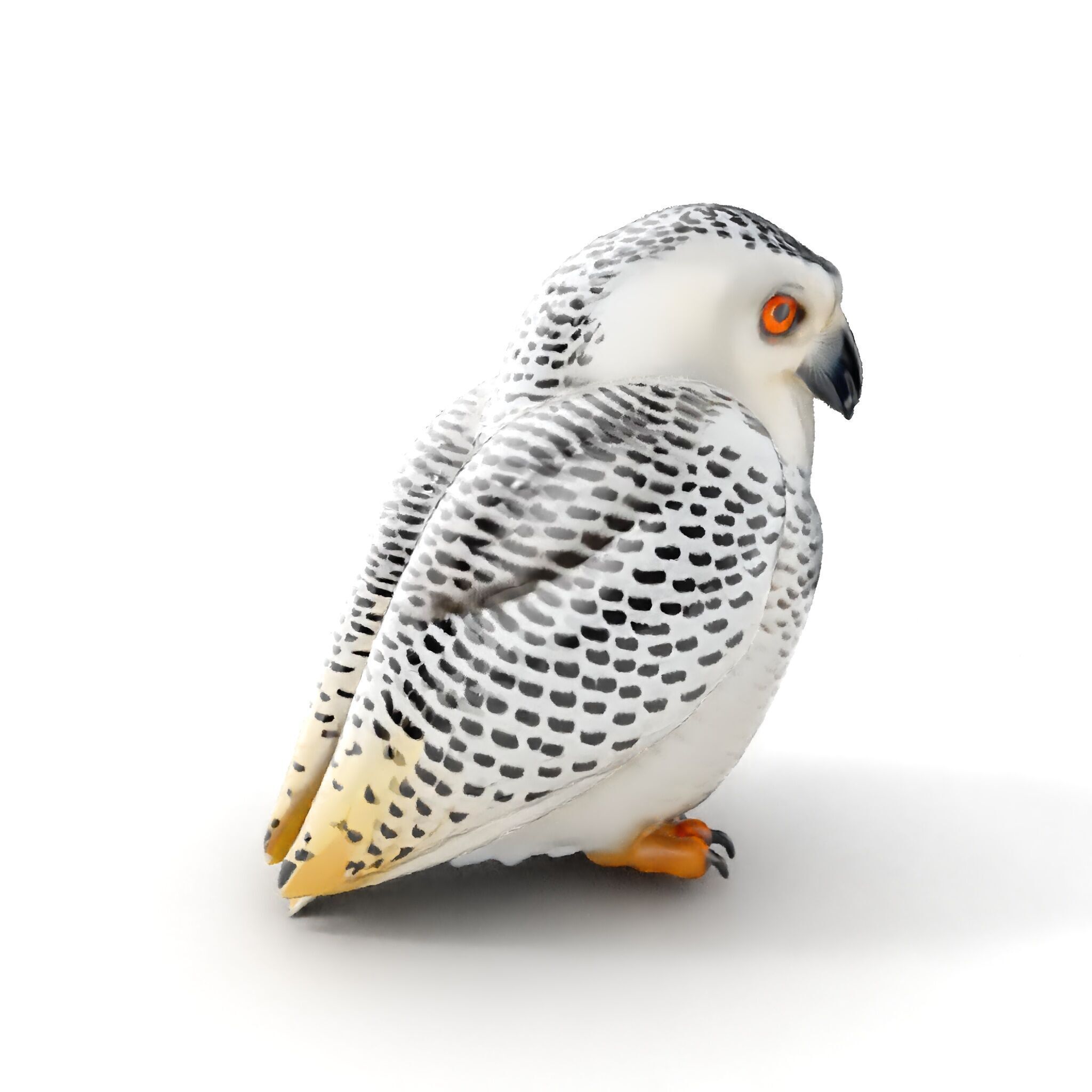 Snowy Owl Model Pack with Detailed Textures and LOD Low-poly 3D model_8