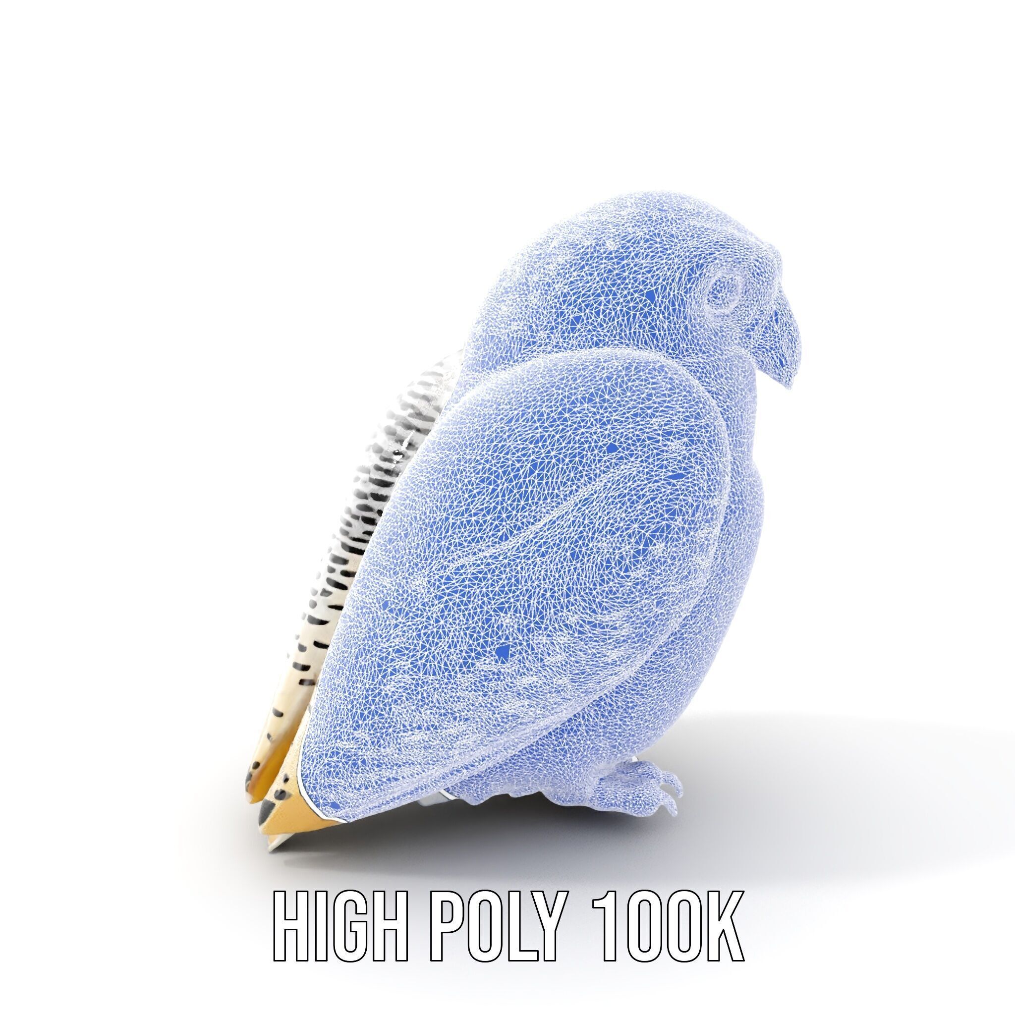 Snowy Owl Model Pack with Detailed Textures and LOD Low-poly 3D model_5