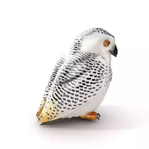 Snowy Owl Model Pack with Detailed Textures and LOD Low-poly 3D model