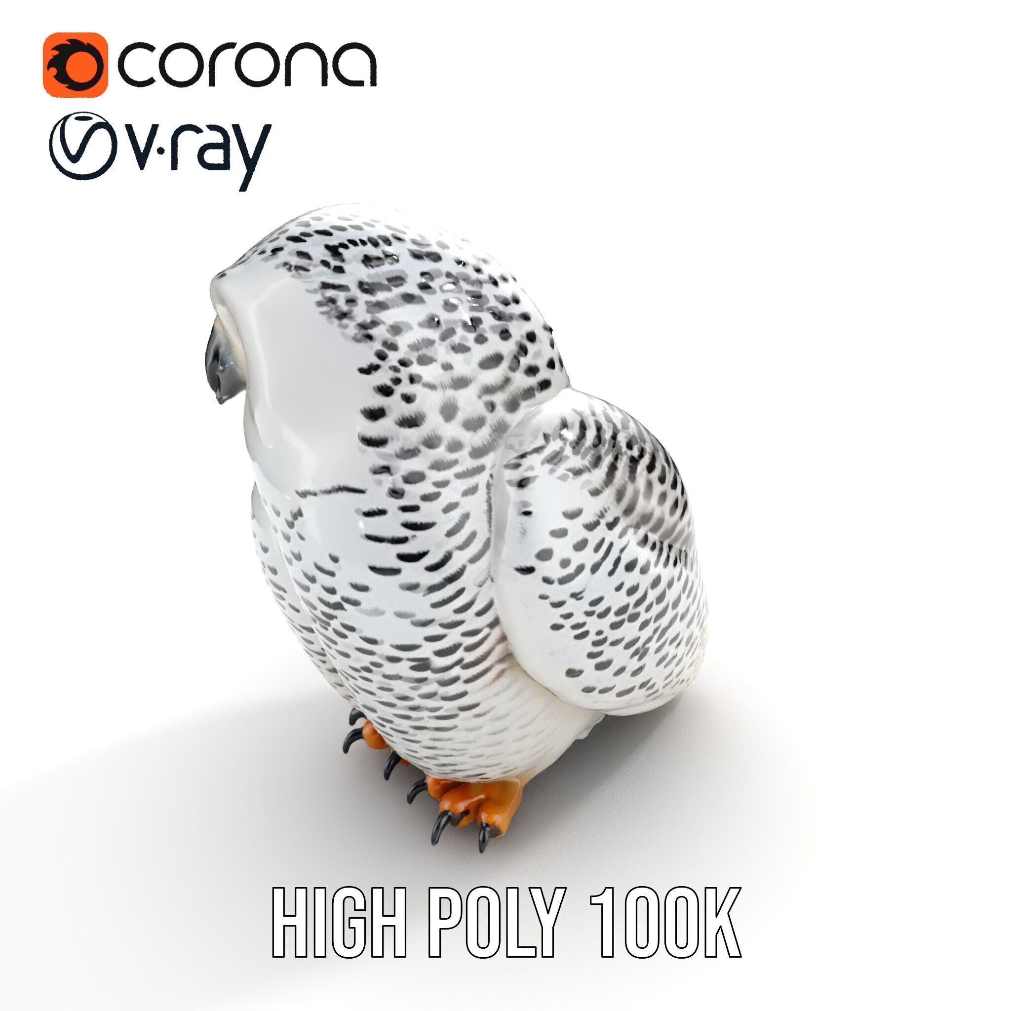 Snowy Owl Model Pack with Detailed Textures and LOD Low-poly 3D model_7