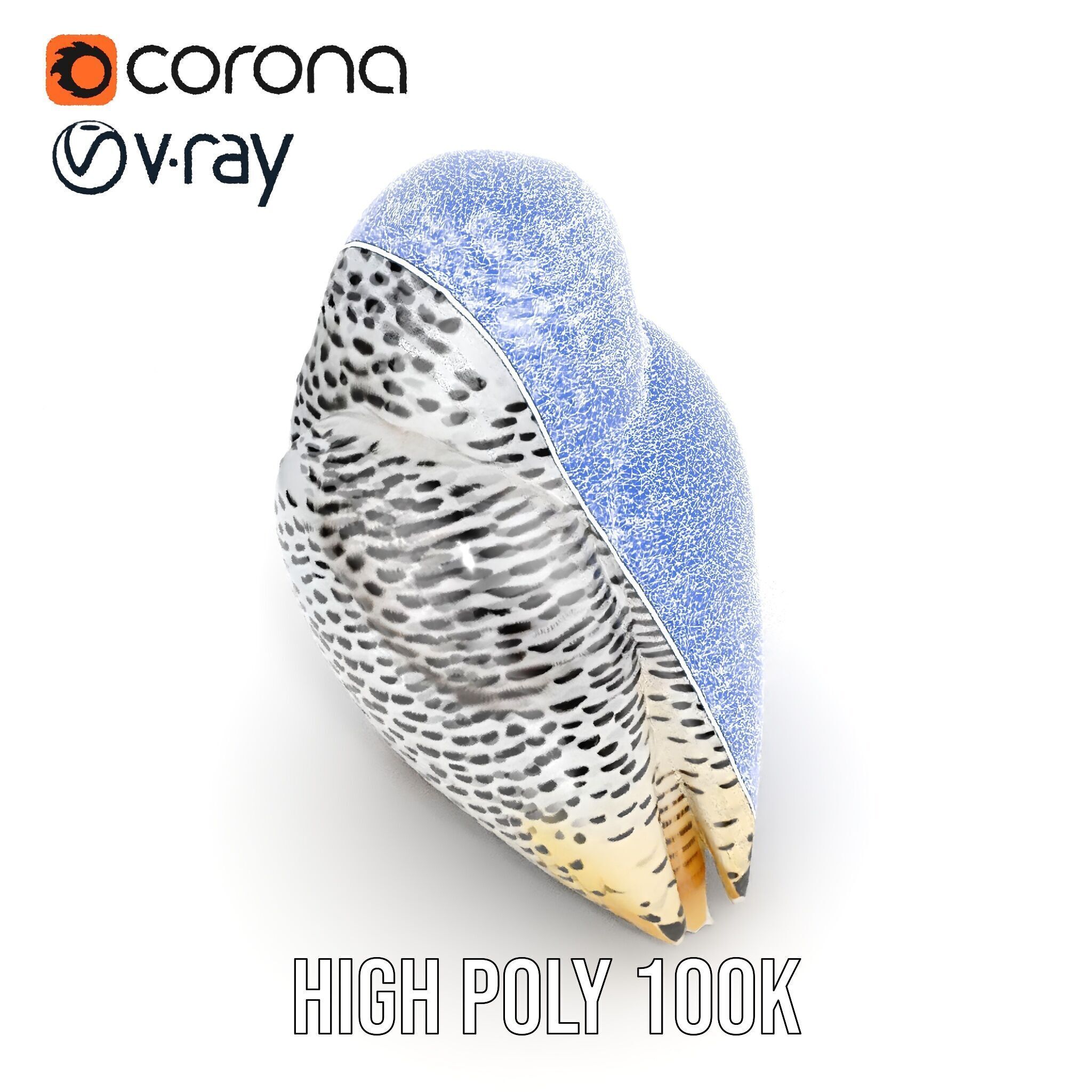 Snowy Owl Model Pack with Detailed Textures and LOD Low-poly 3D model_26