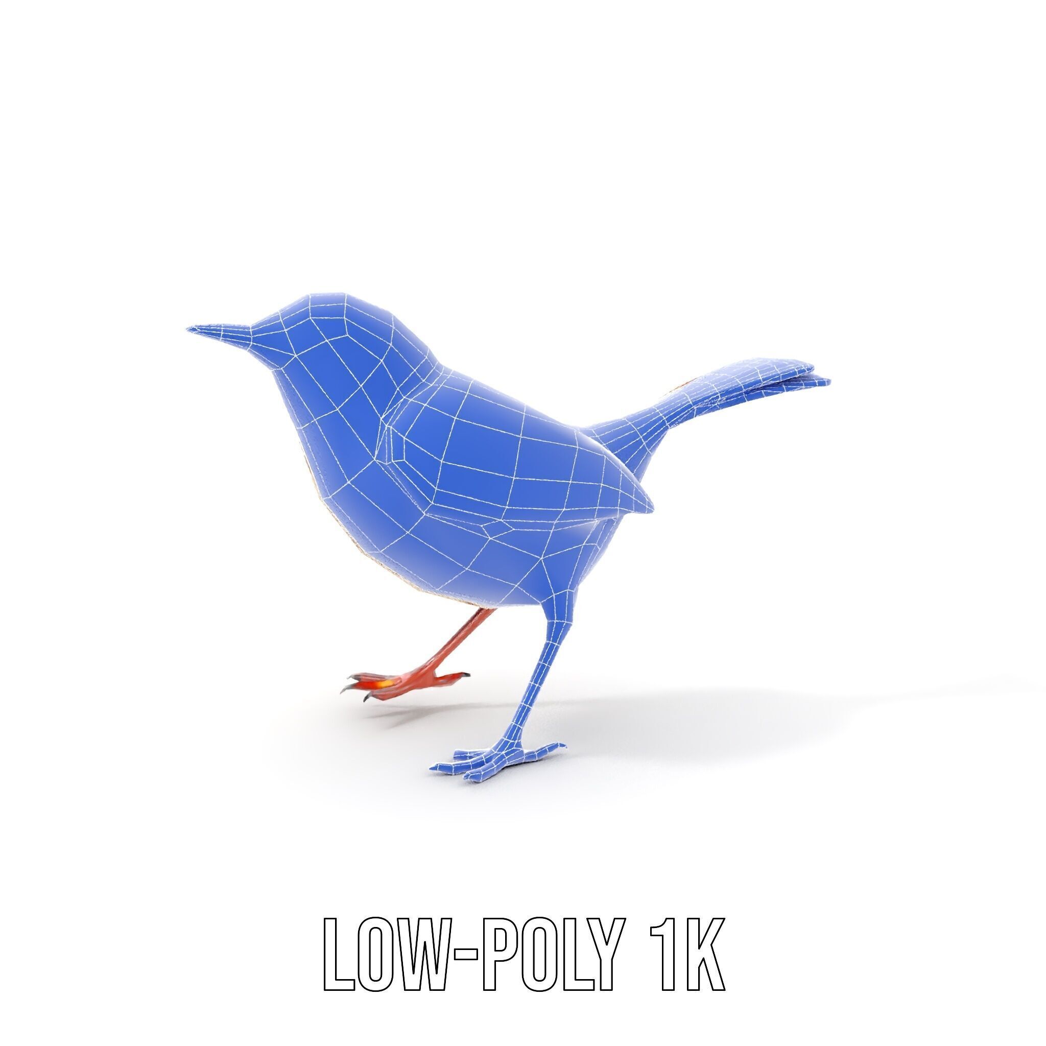 Detailed Realistic Bird D Model Pack Low-poly 3D model_32