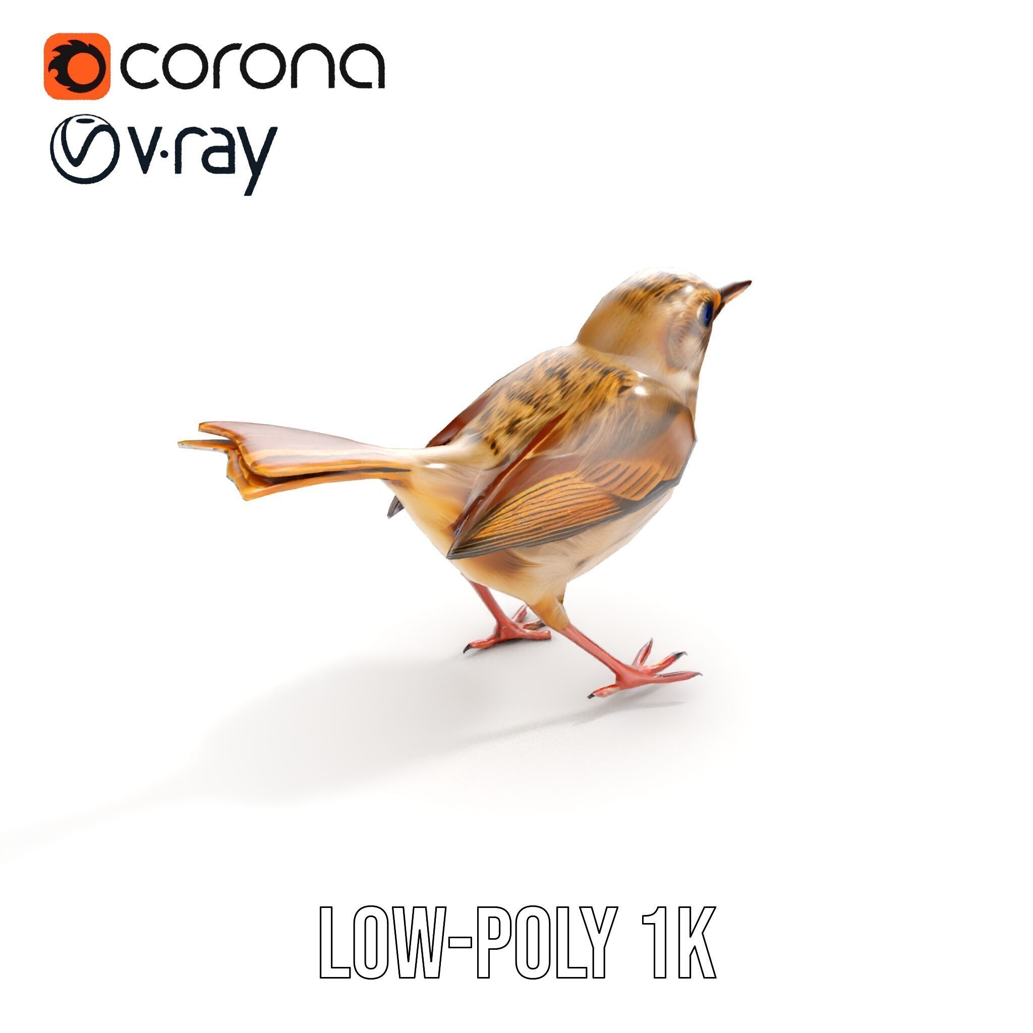 Detailed Realistic Bird D Model Pack Low-poly 3D model_14