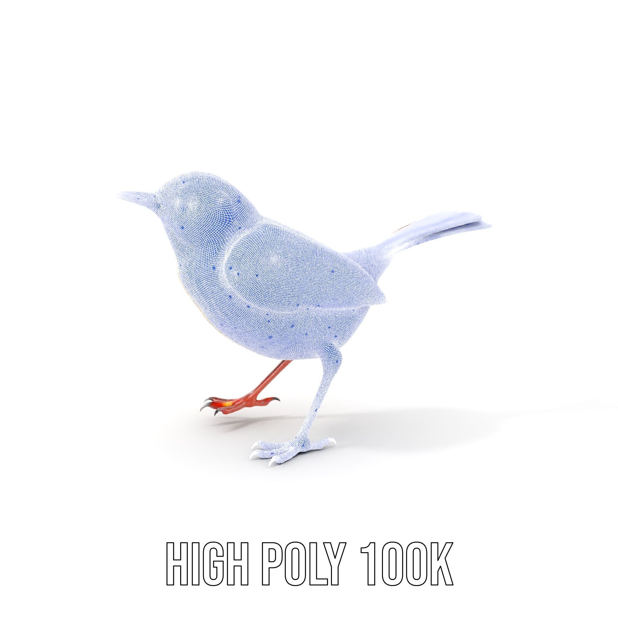 Detailed Realistic Bird D Model Pack Low-poly 3D model_5