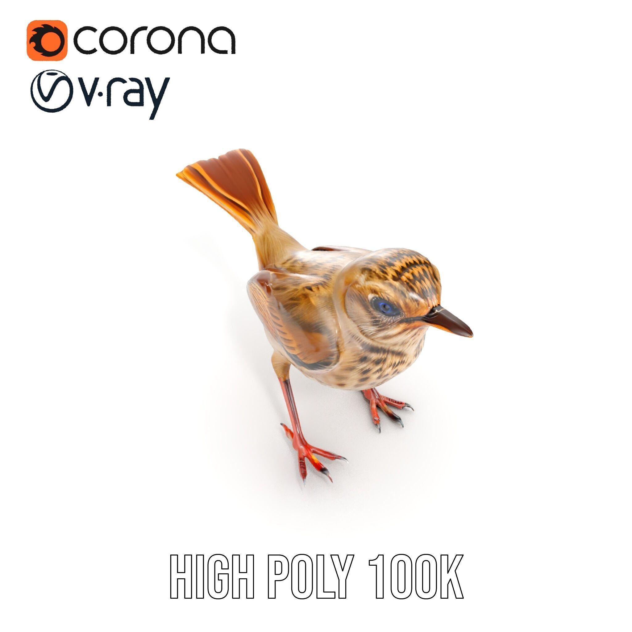 Detailed Realistic Bird D Model Pack Low-poly 3D model_23