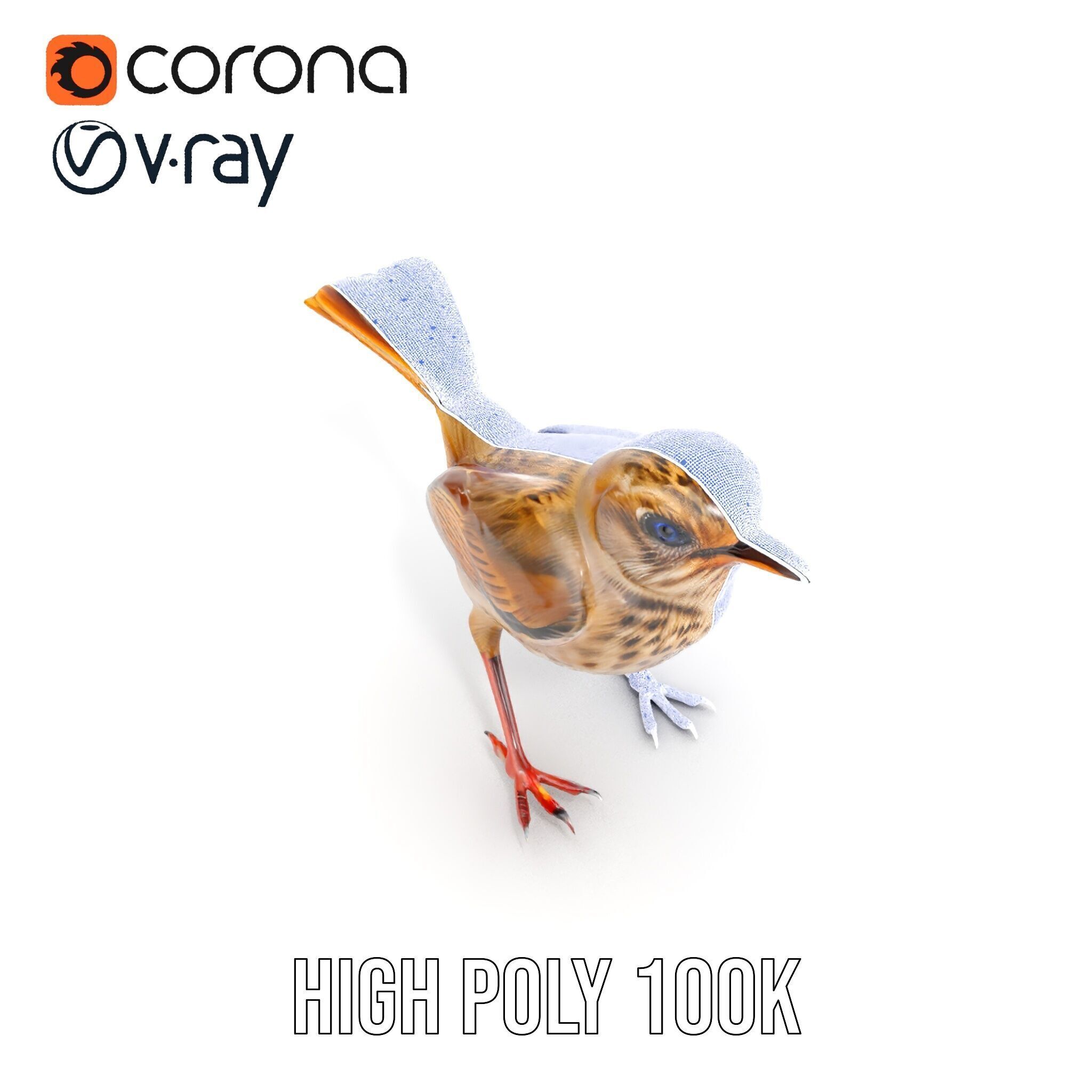 Detailed Realistic Bird D Model Pack Low-poly 3D model_36