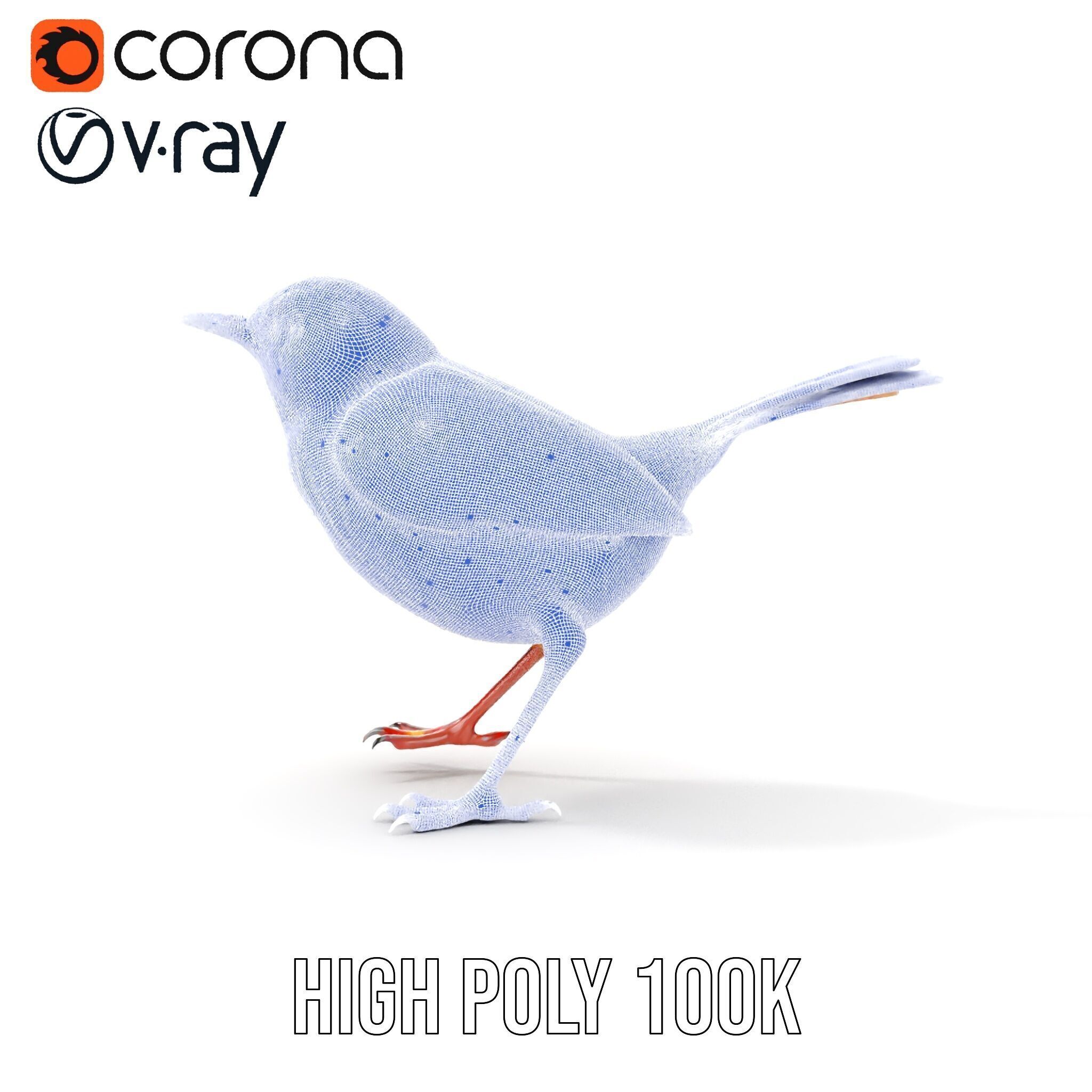 Detailed Realistic Bird D Model Pack Low-poly 3D model_37