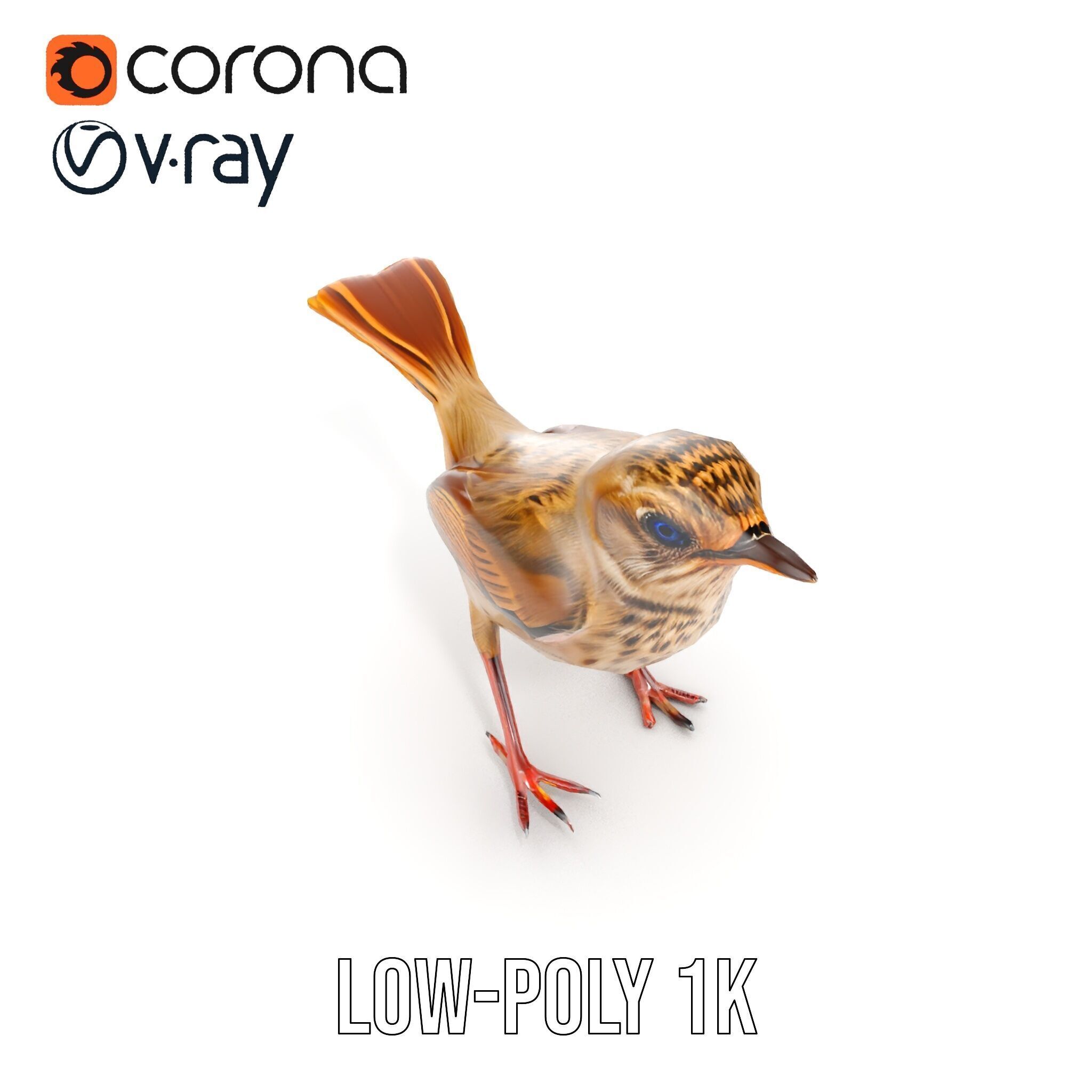 Detailed Realistic Bird D Model Pack Low-poly 3D model_8