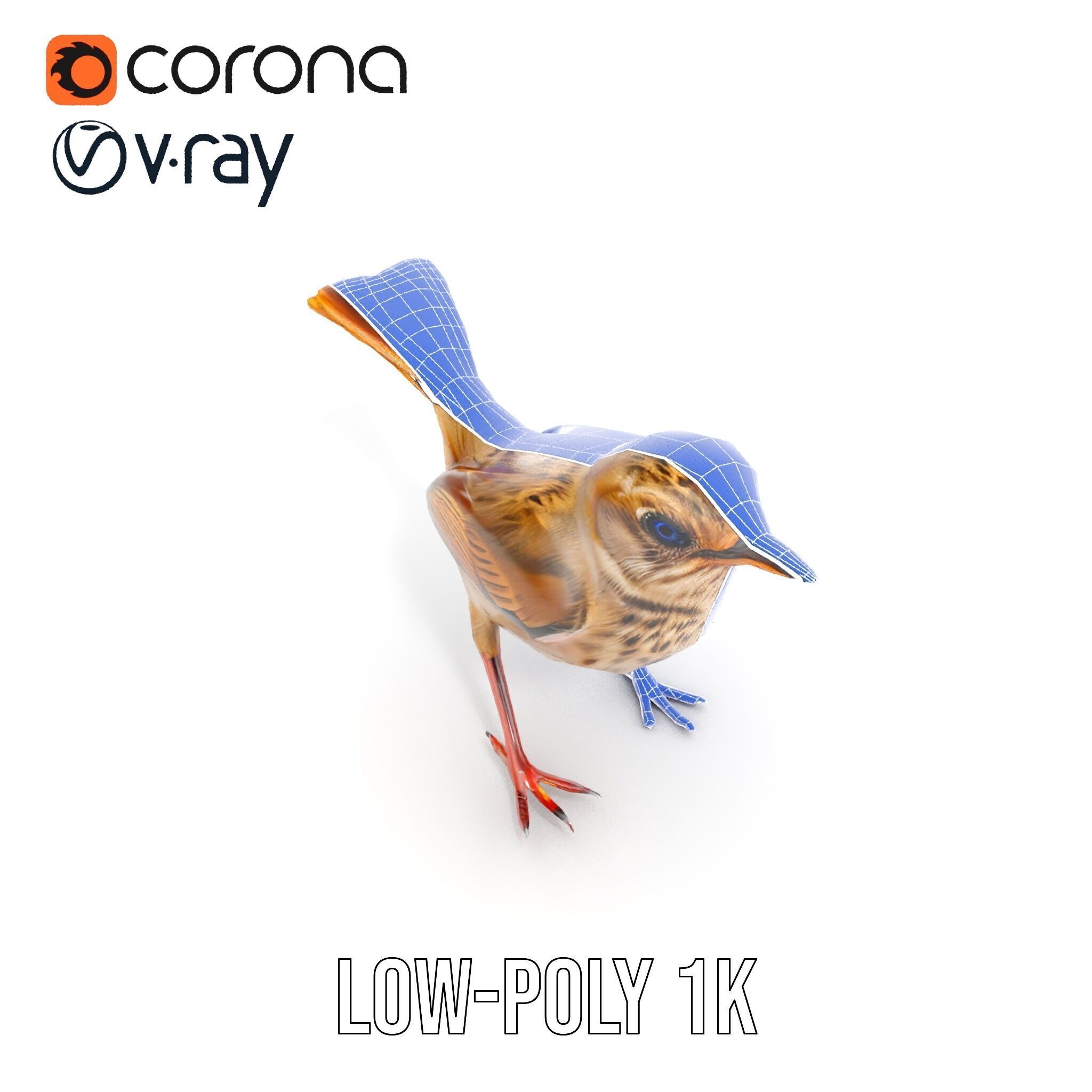 Detailed Realistic Bird D Model Pack Low-poly 3D model_19