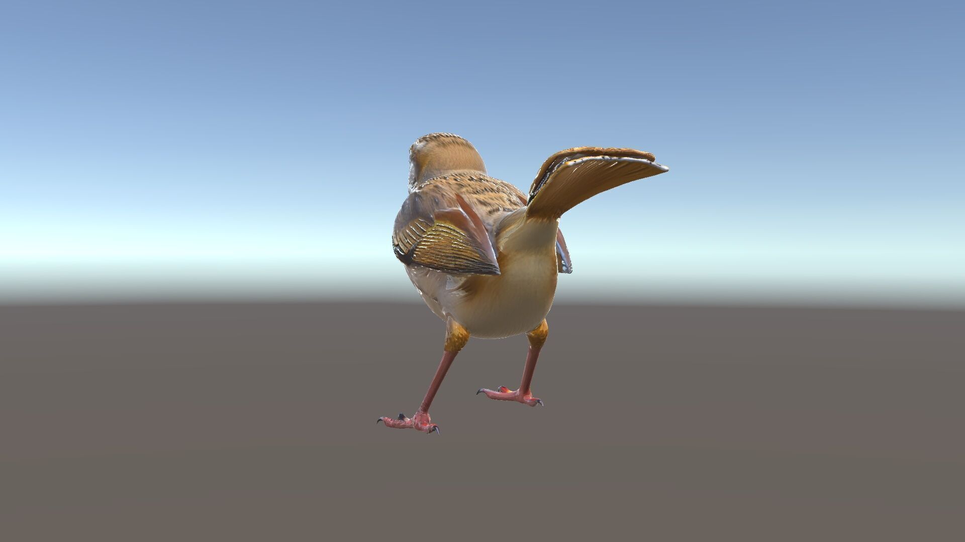Detailed Realistic Bird D Model Pack Low-poly 3D model_34