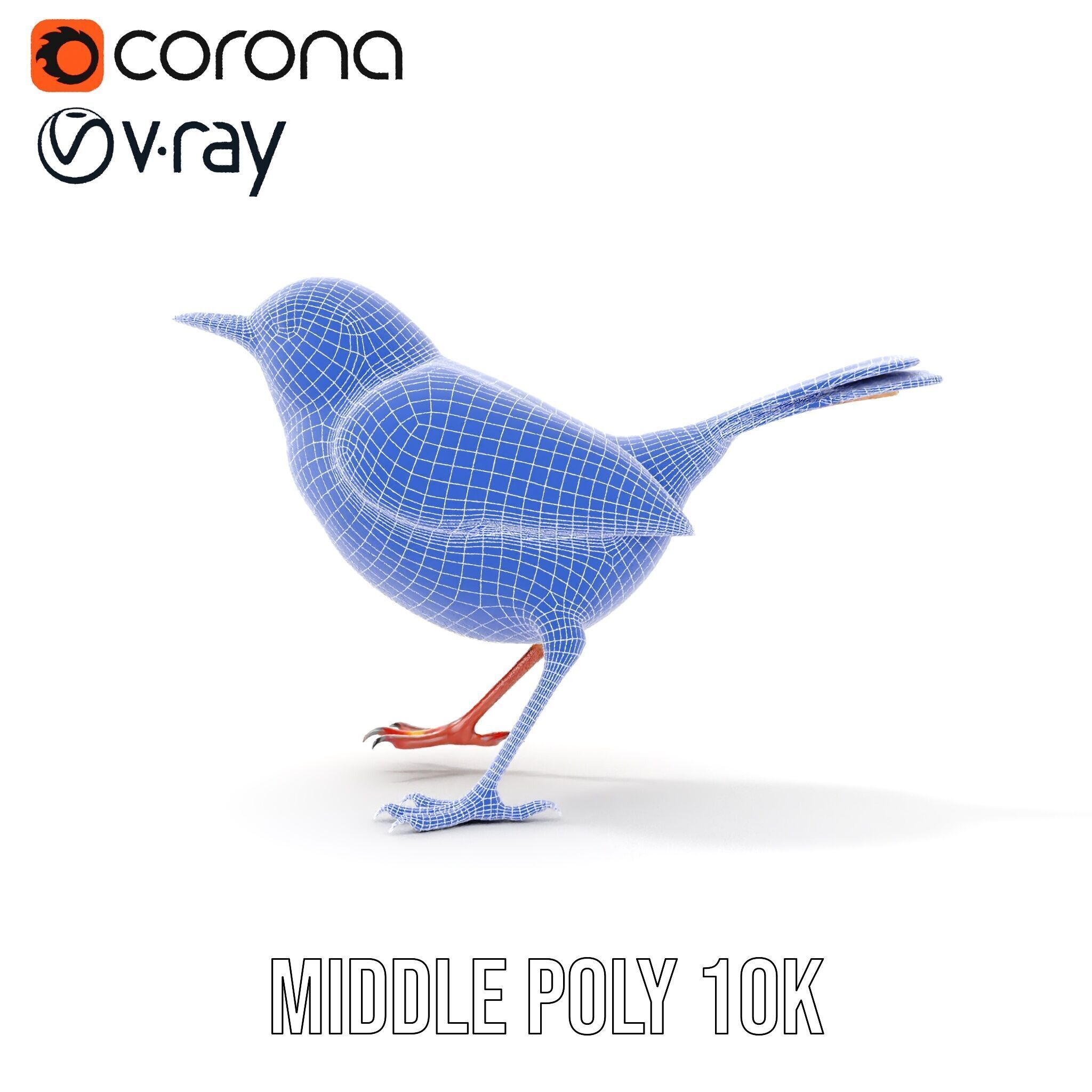 Detailed Realistic Bird D Model Pack Low-poly 3D model_18