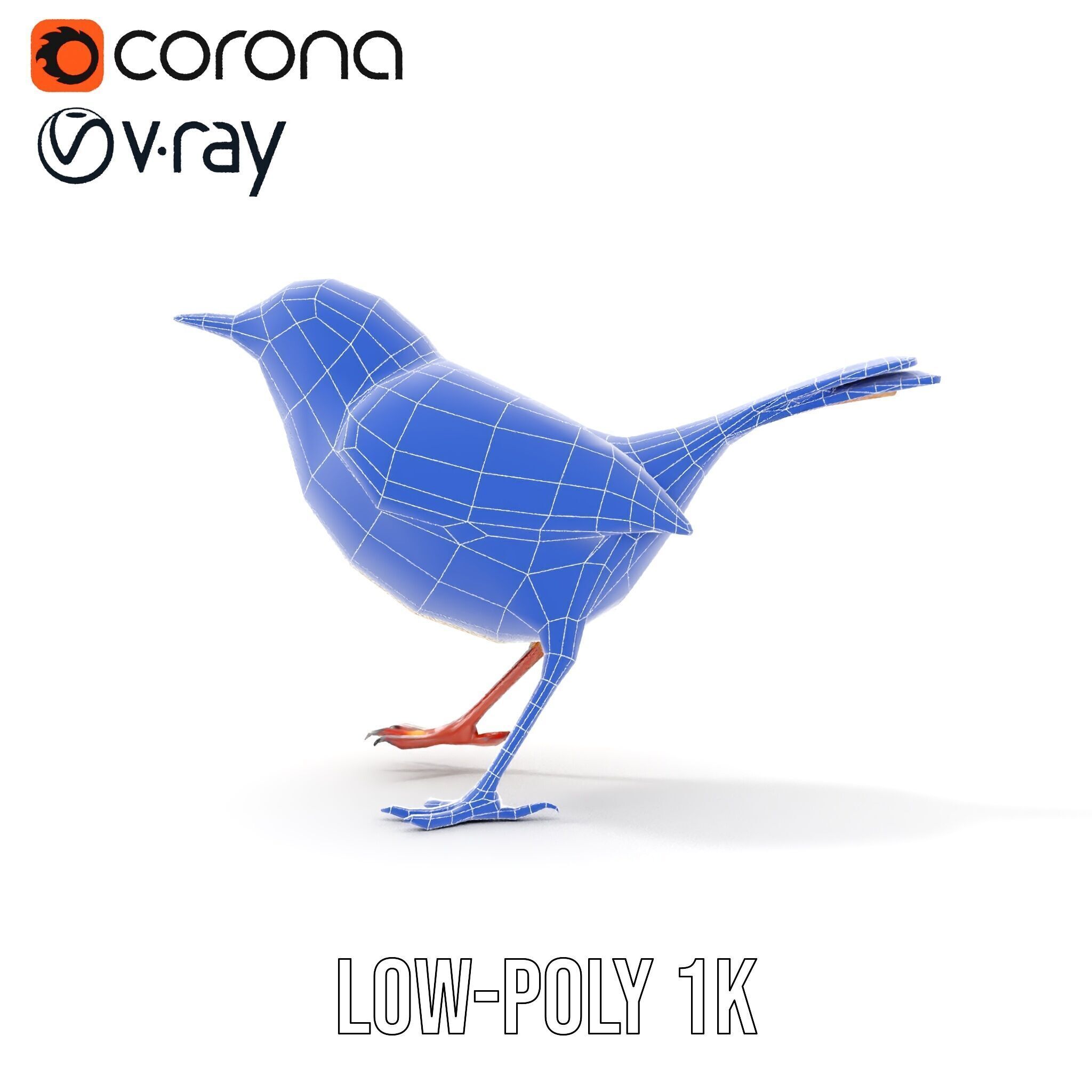 Detailed Realistic Bird D Model Pack Low-poly 3D model_27